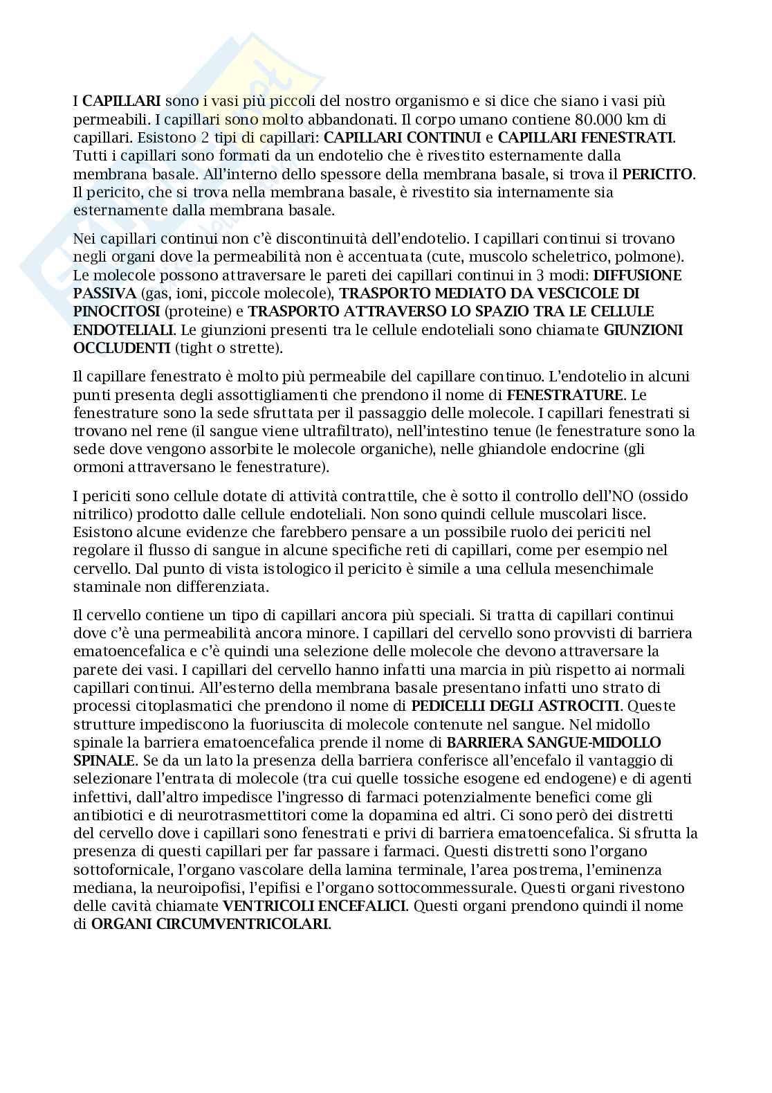 Appunti esame anatomia umana Pag. 26