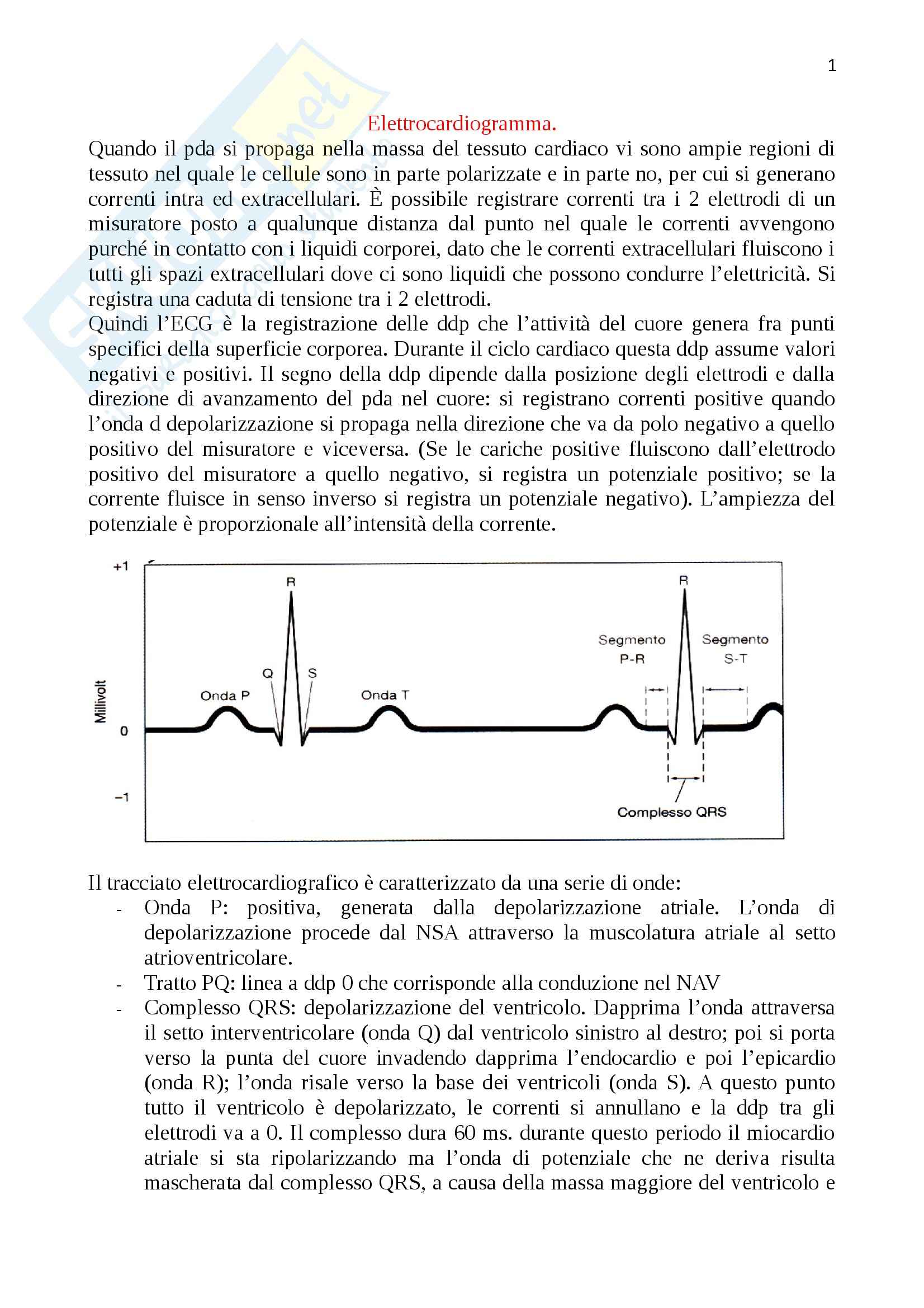 Elettrocardiogramma, Fisiologia umana Pag. 1
