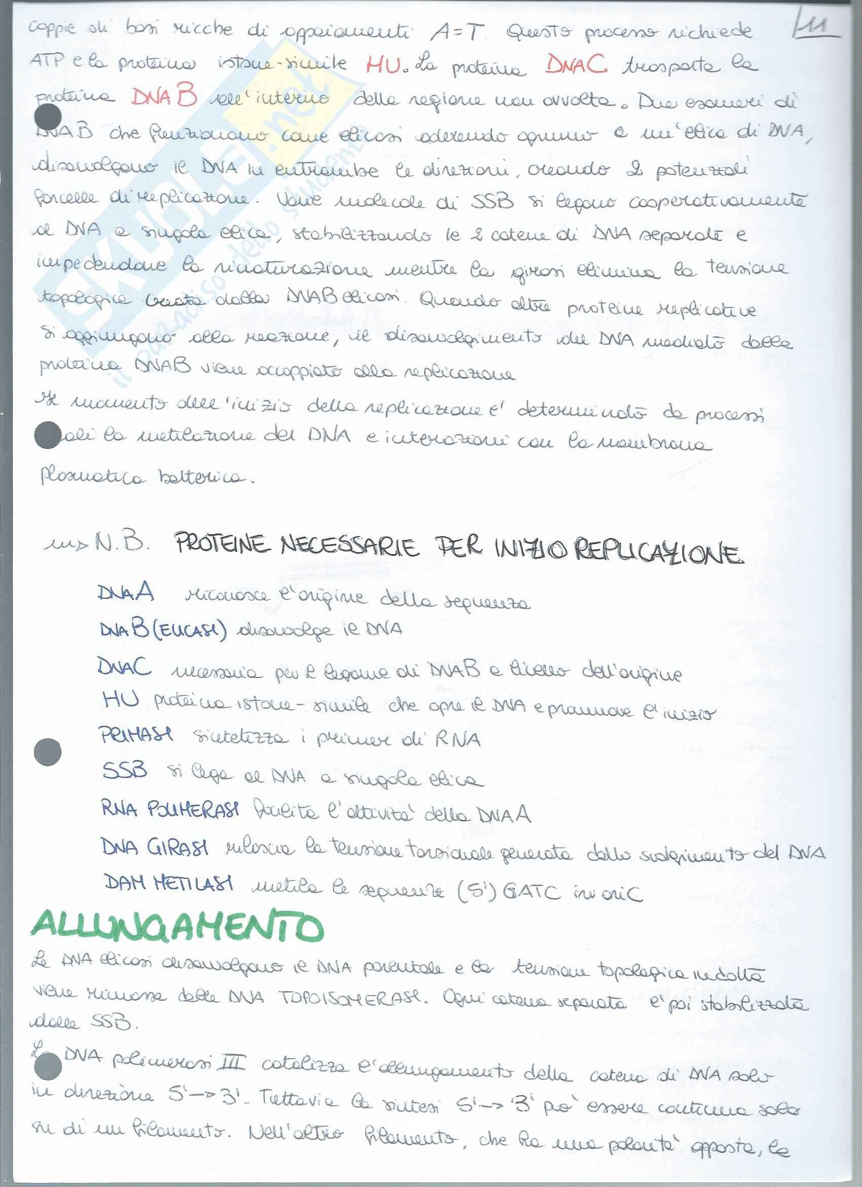 Biochimica Applicata - Appunti Pag. 21
