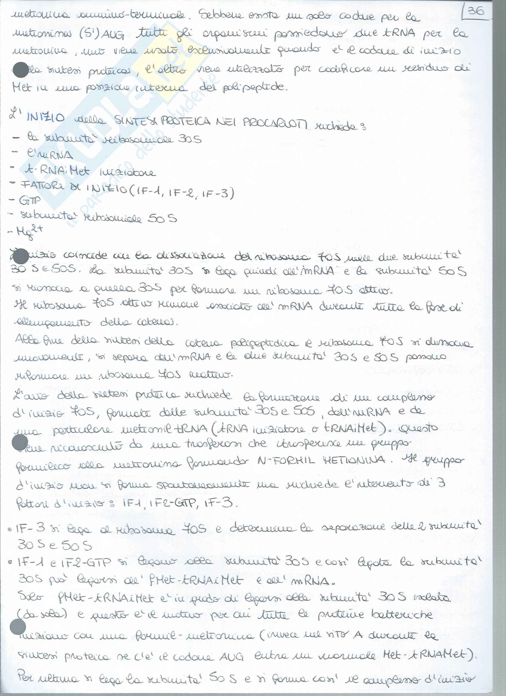 Biochimica Applicata - Appunti Pag. 71