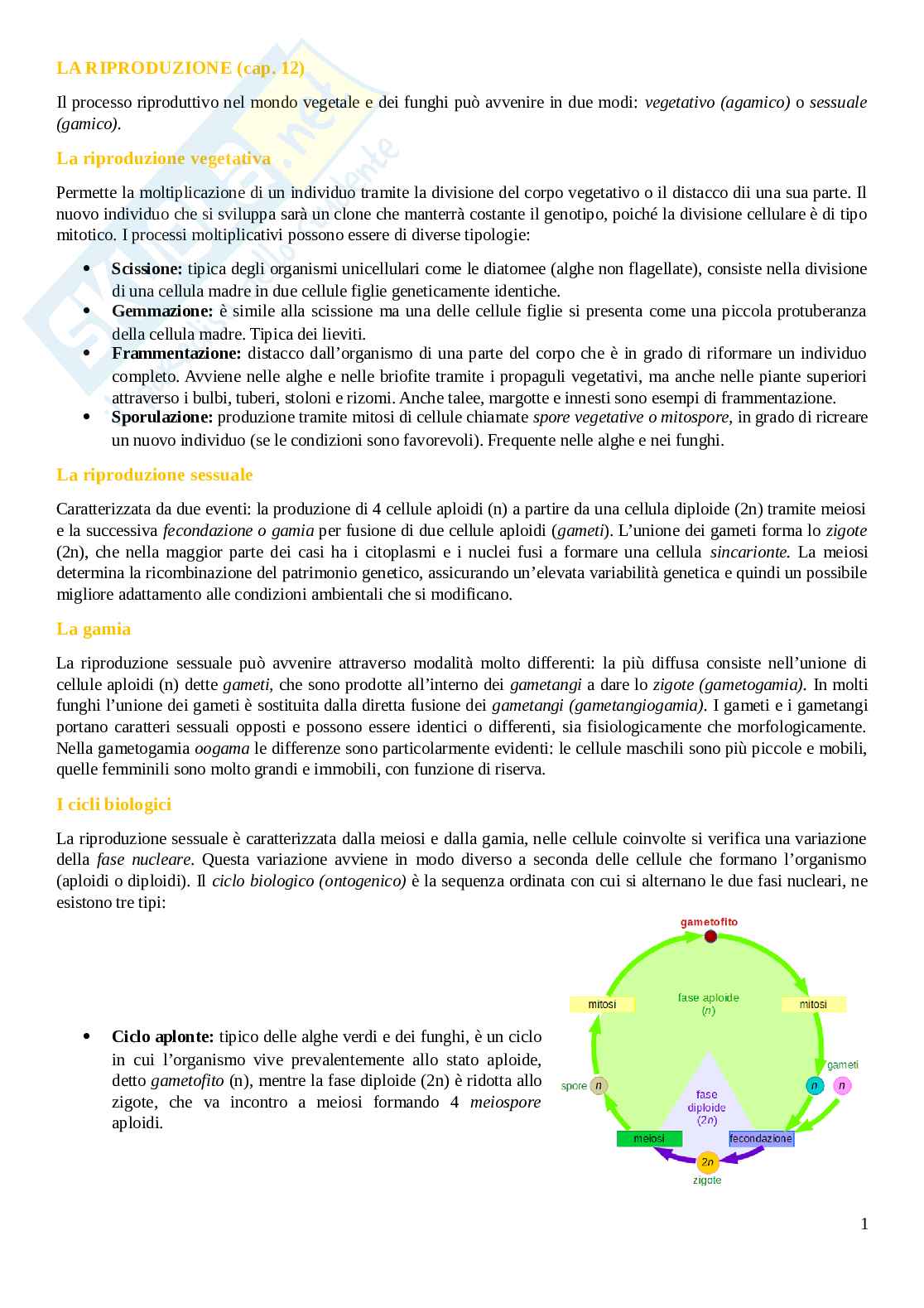Riproduzione Pag. 1