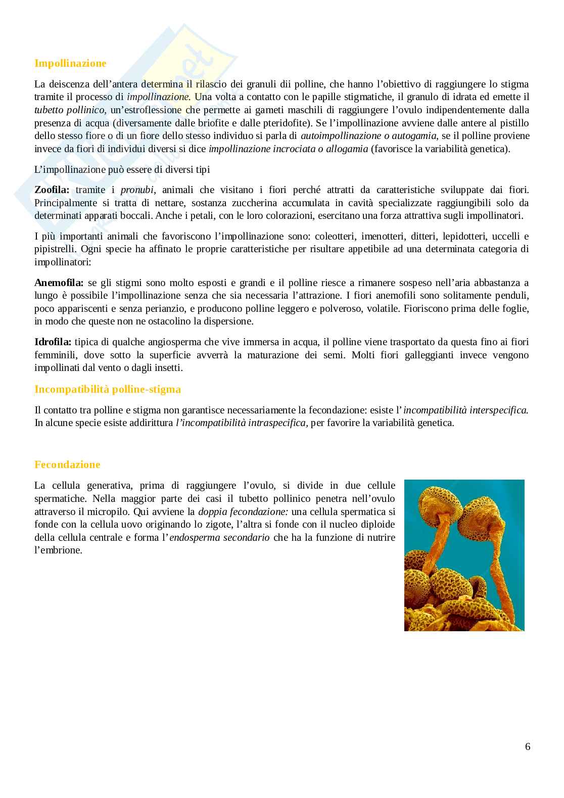 Riproduzione Pag. 6