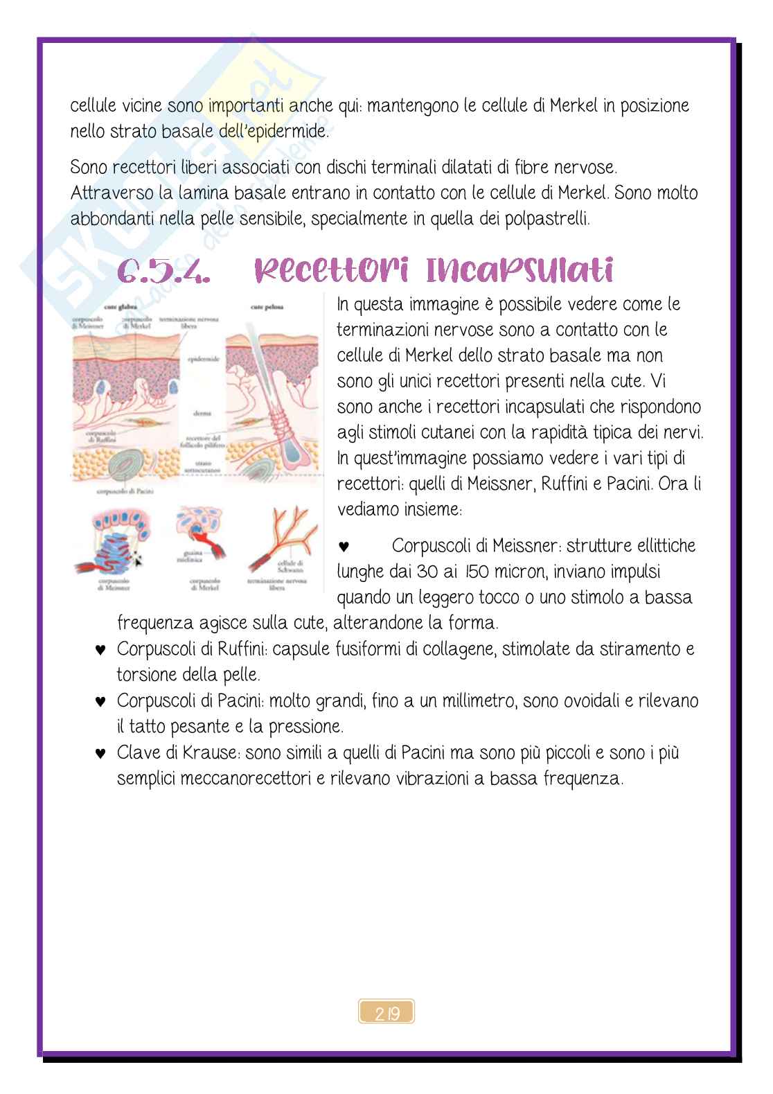 Apparato tegumentario Pag. 21