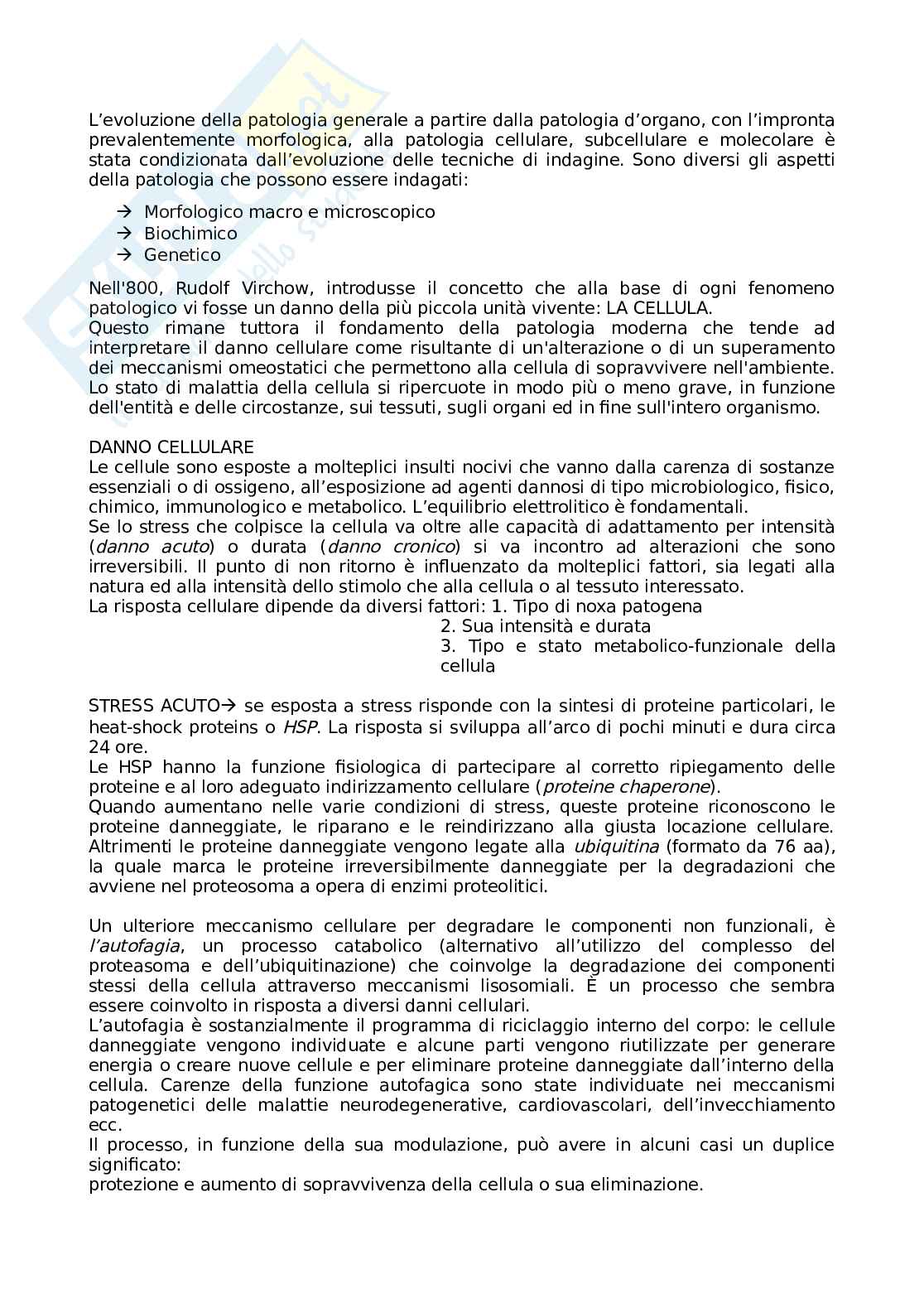 Patologia generale - primo parziale Pag. 2