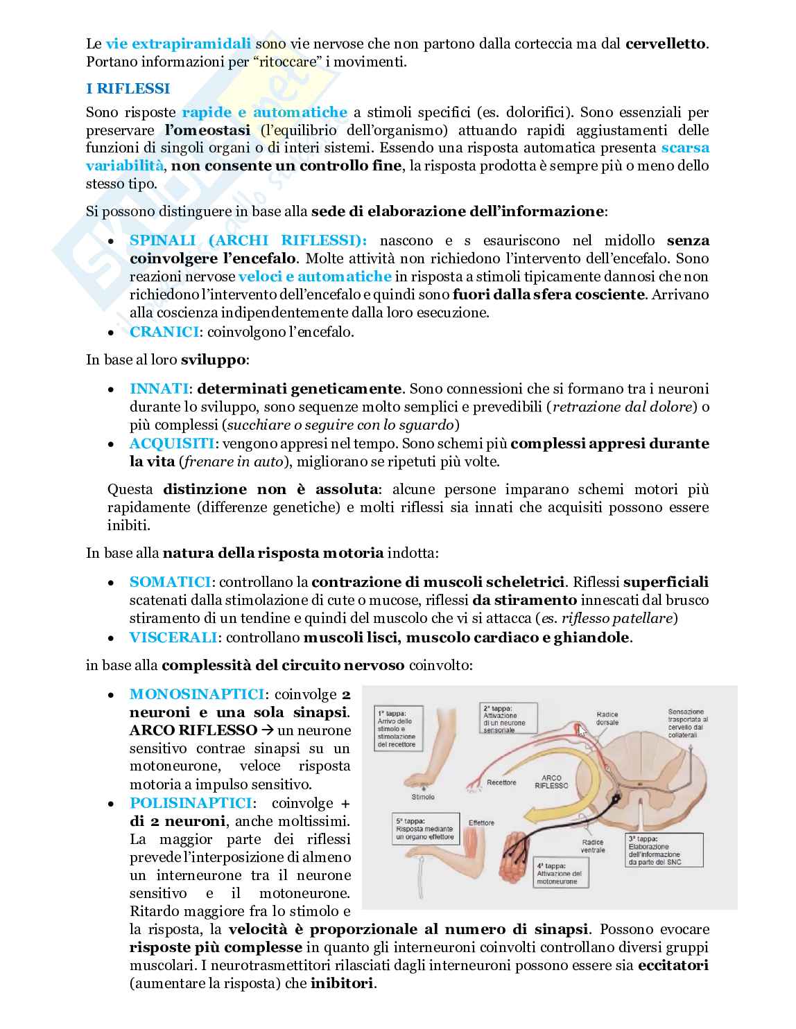 Fondamenti biologia, anatomia e fisiologia - Parte 2 Pag. 16