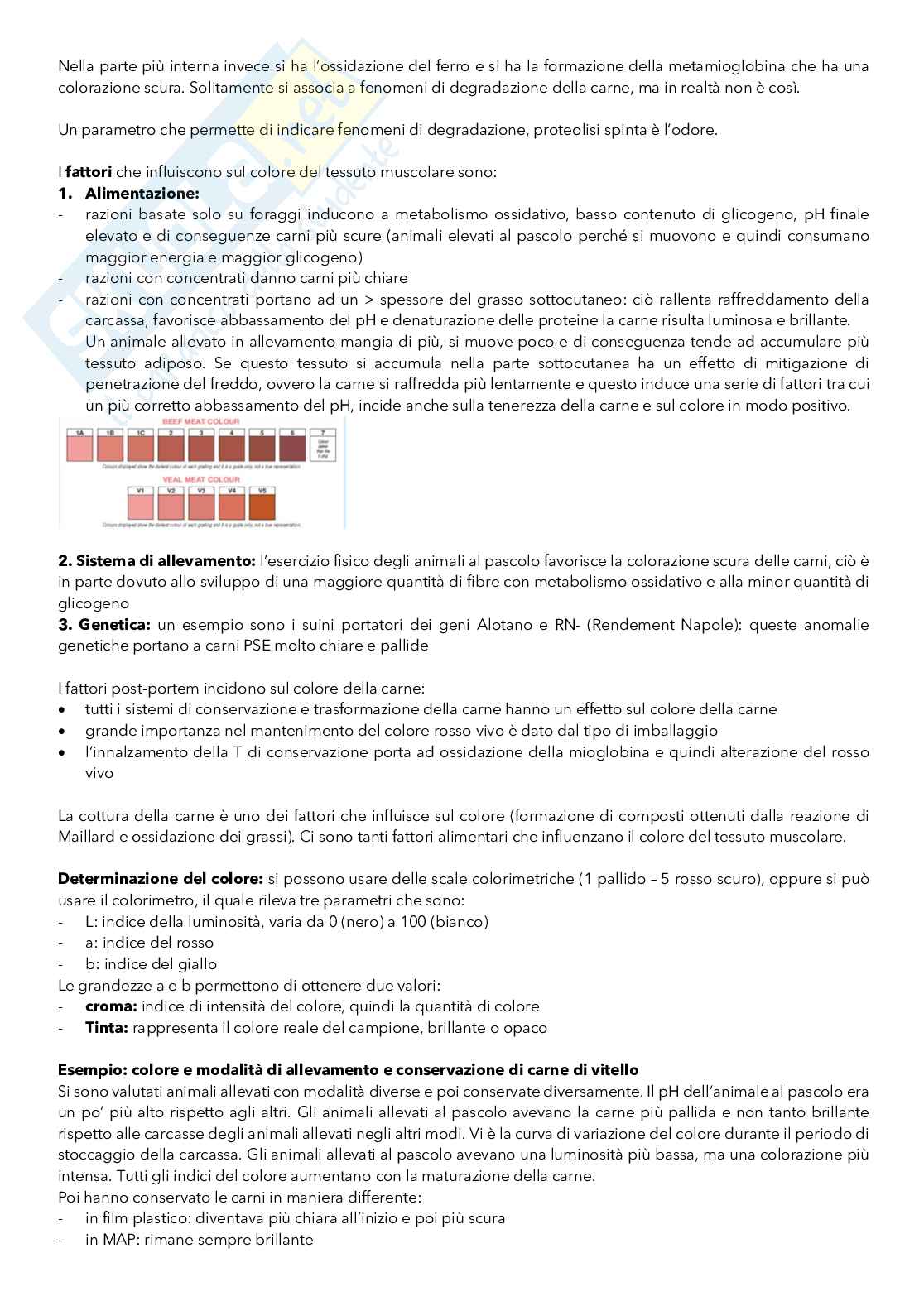 Produzione e qualità della carne e dei prodotti ittici Pag. 11