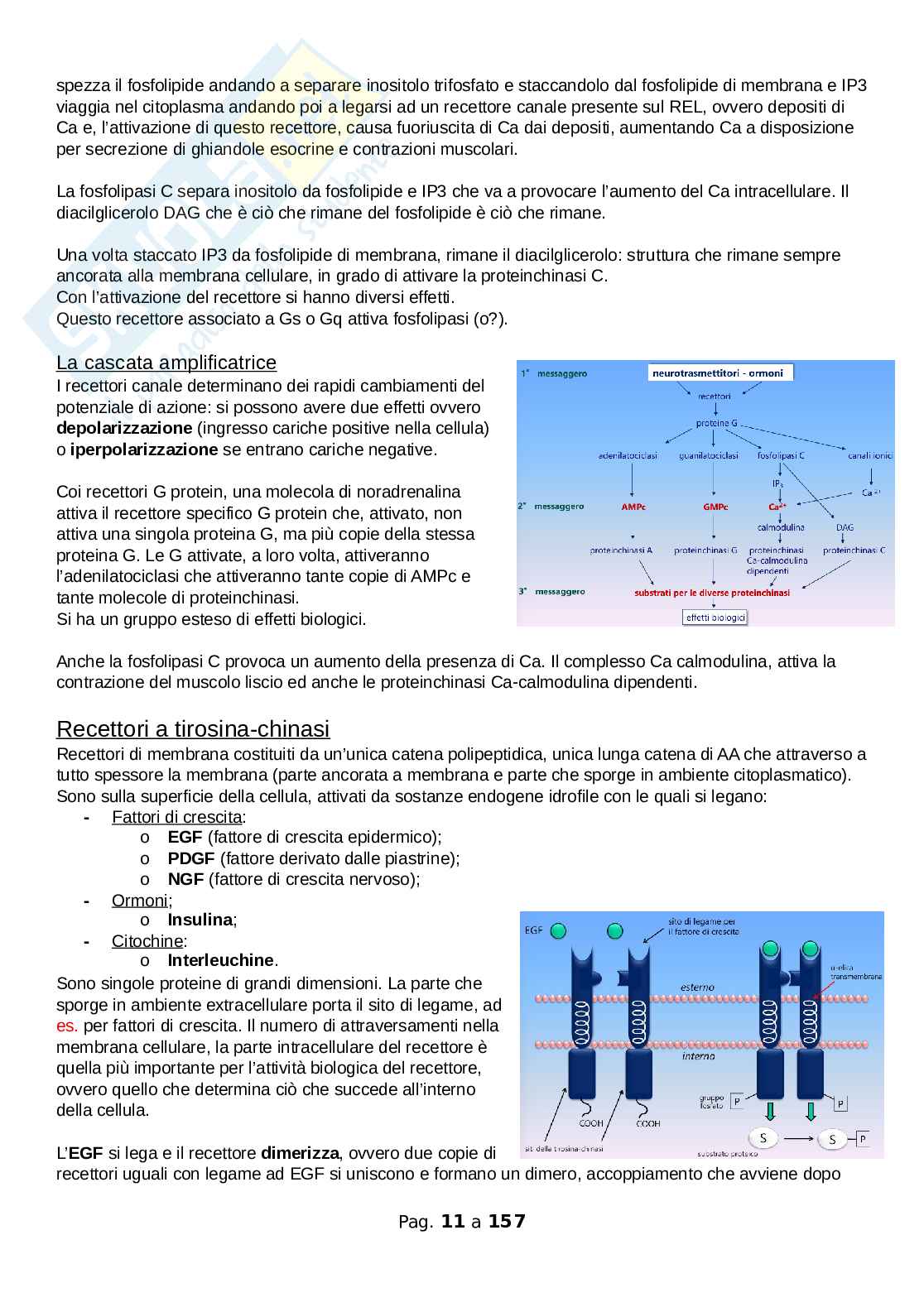 Elementi di Tossicologia e Farmacologia Pag. 11