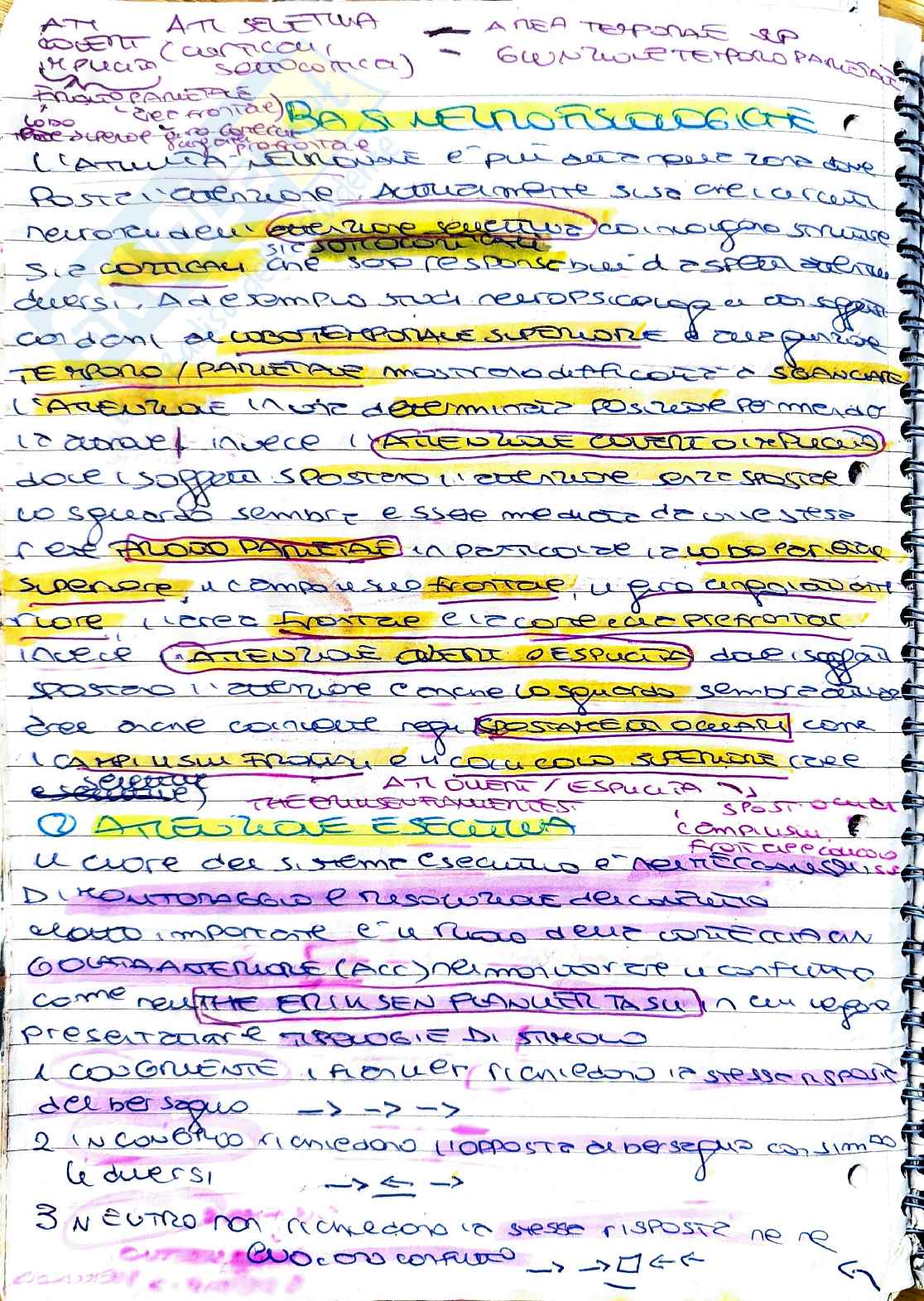 Psicobiologia dell'attenzione: paradigma di posner e attenzione esecutiva Pag. 1