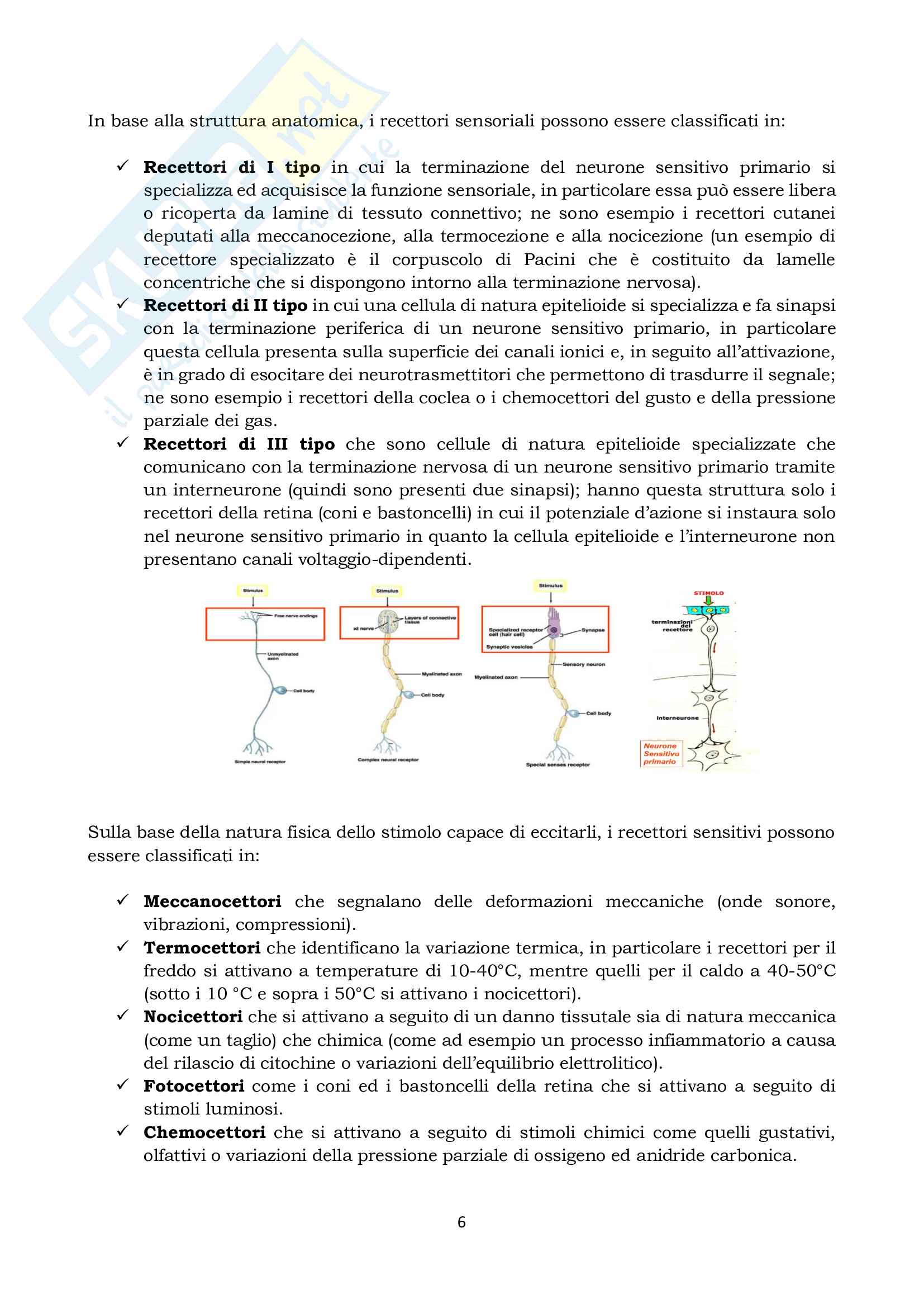 Fisiologia Pag. 6