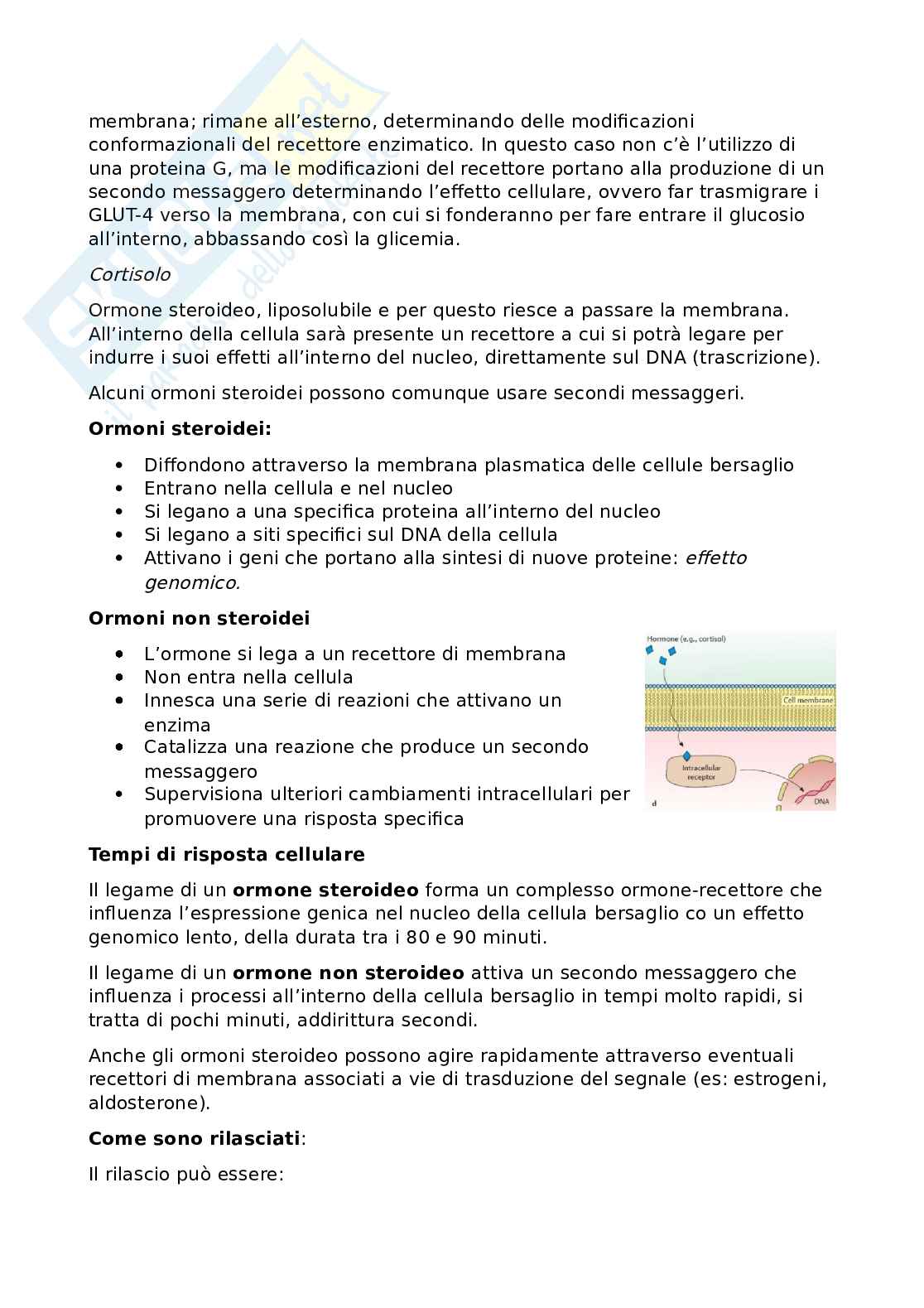 Fisiologia funzionale Pag. 66
