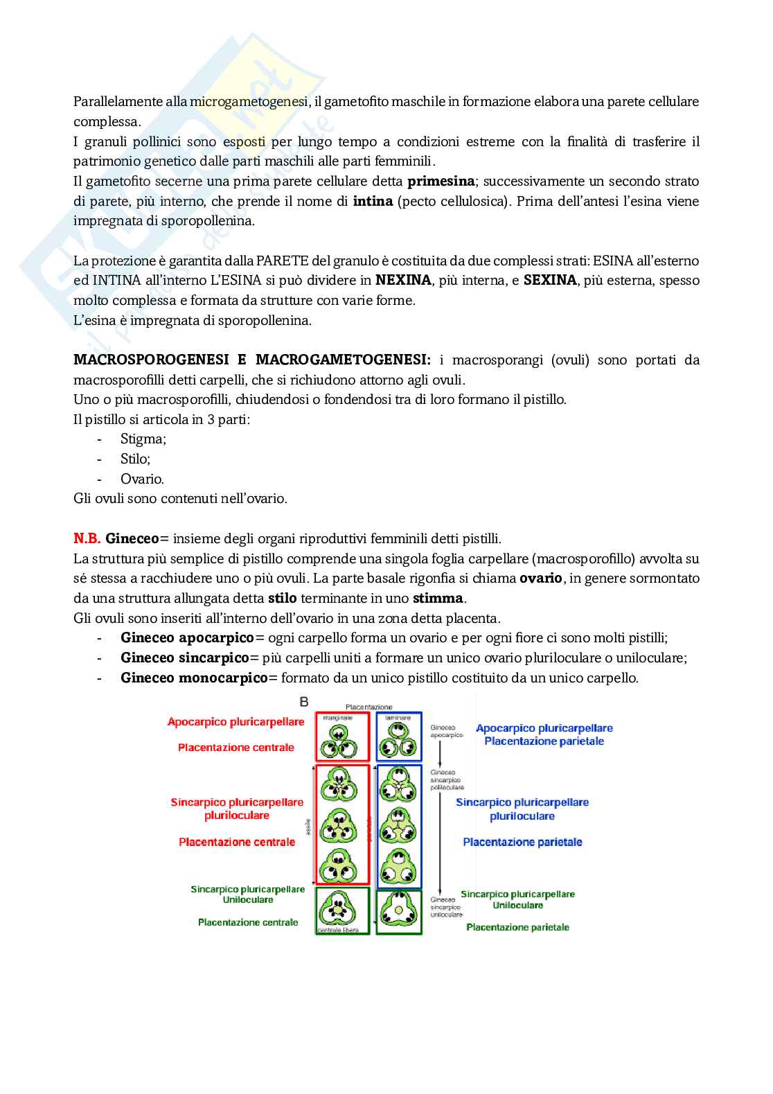 Appunti di Botanica sistematica sulle angiosperme  Pag. 2