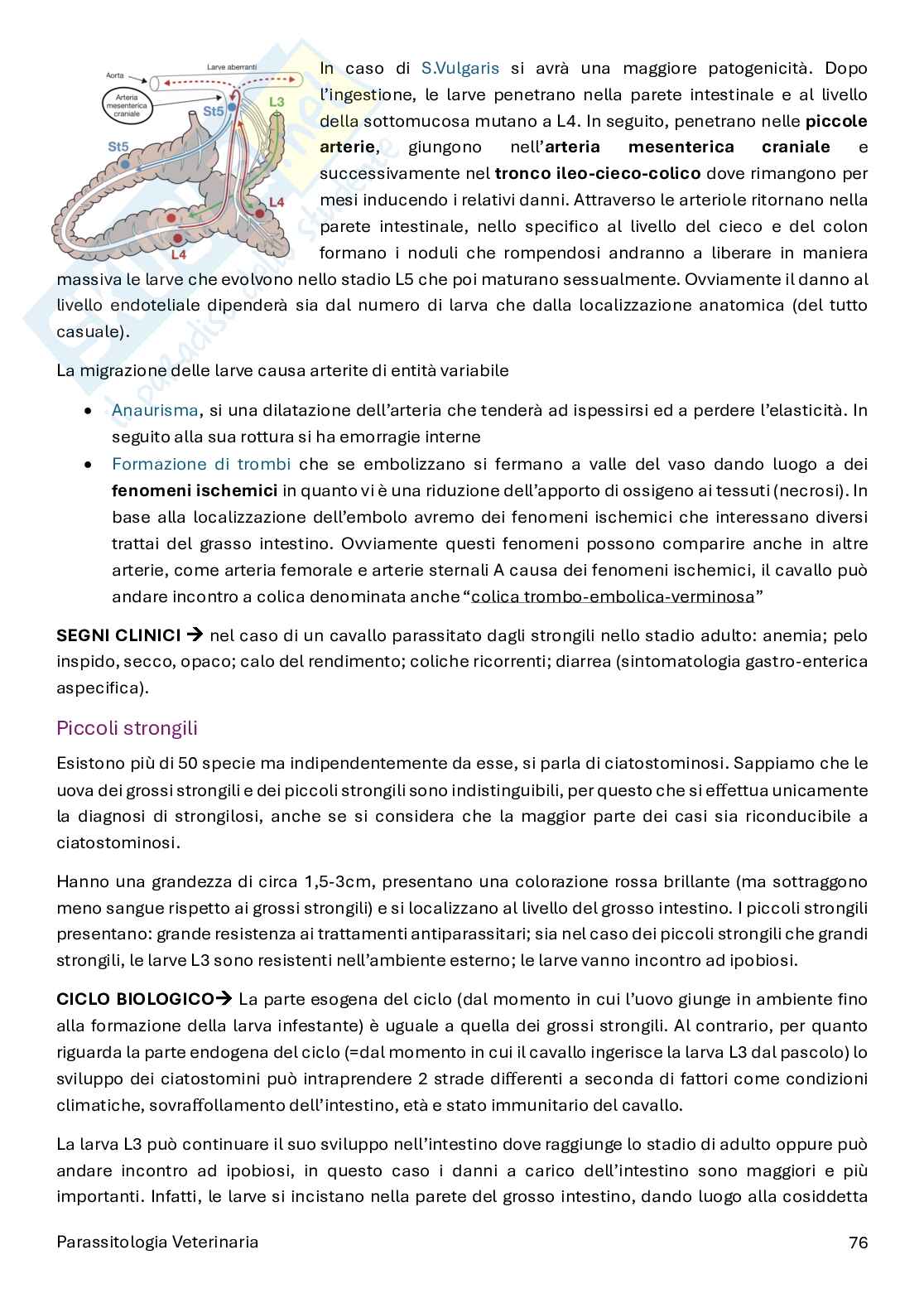 Parassitologia e malattie parassitarie  Pag. 76