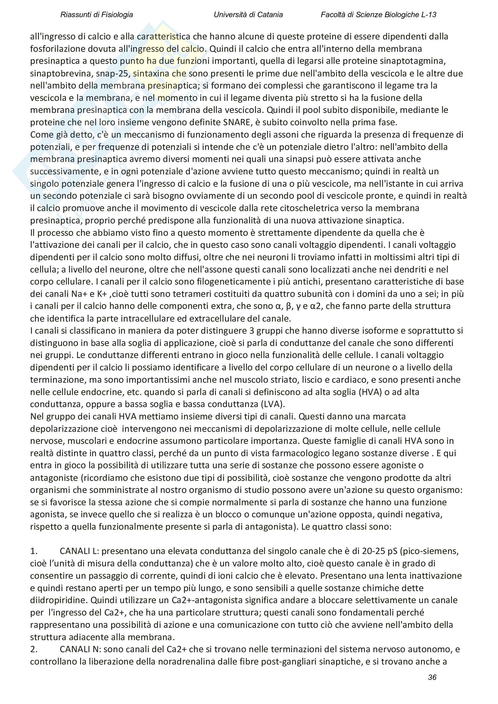 Riassunti di Fisiologia Pag. 36