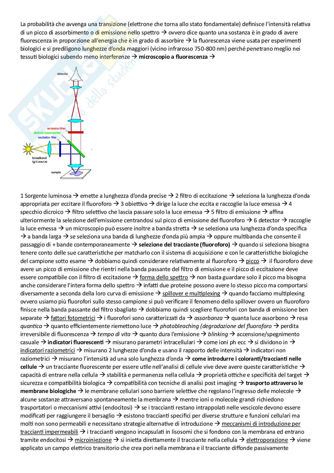 Argomenti principali corso di Scienze mediche applicate Pag. 21