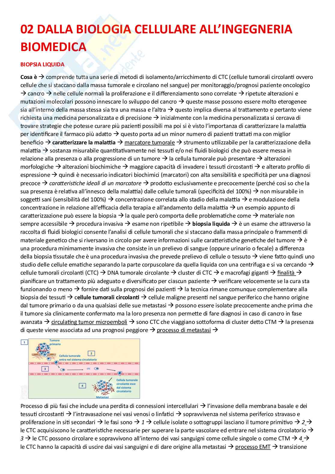 Argomenti principali corso di Scienze mediche applicate Pag. 6