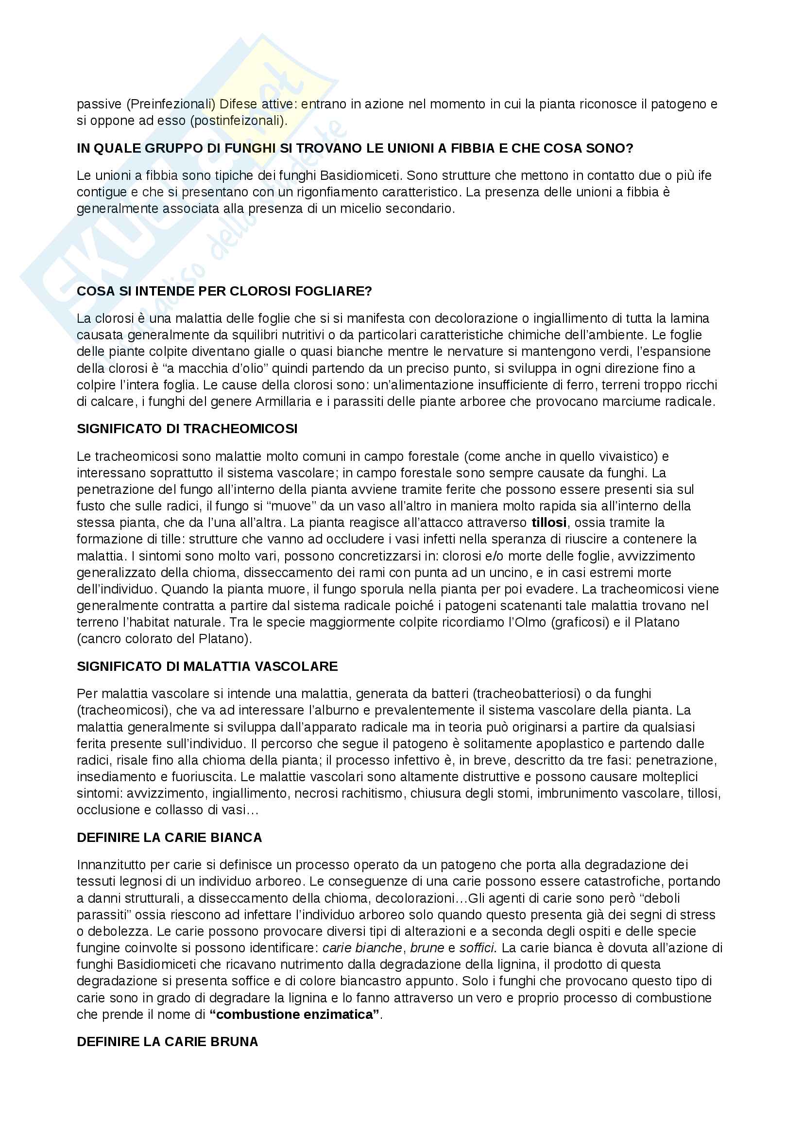 Domande per parziale Entomologia Pag. 11