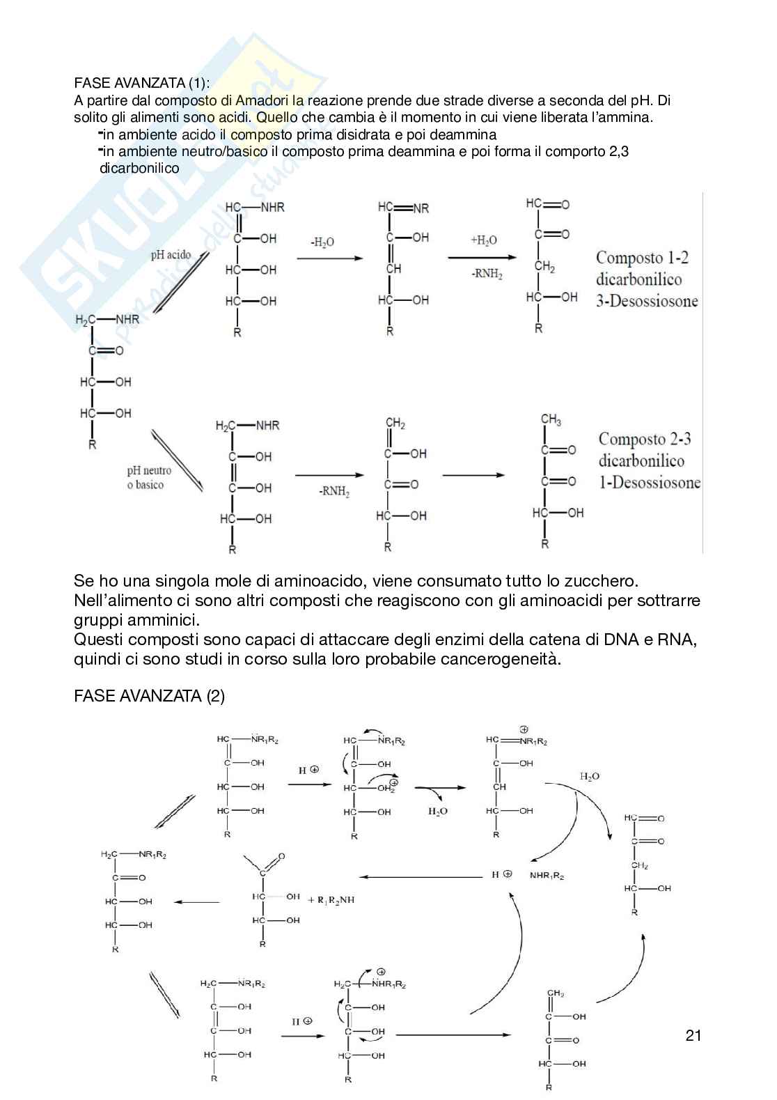 chimica degli alimenti Pag. 21