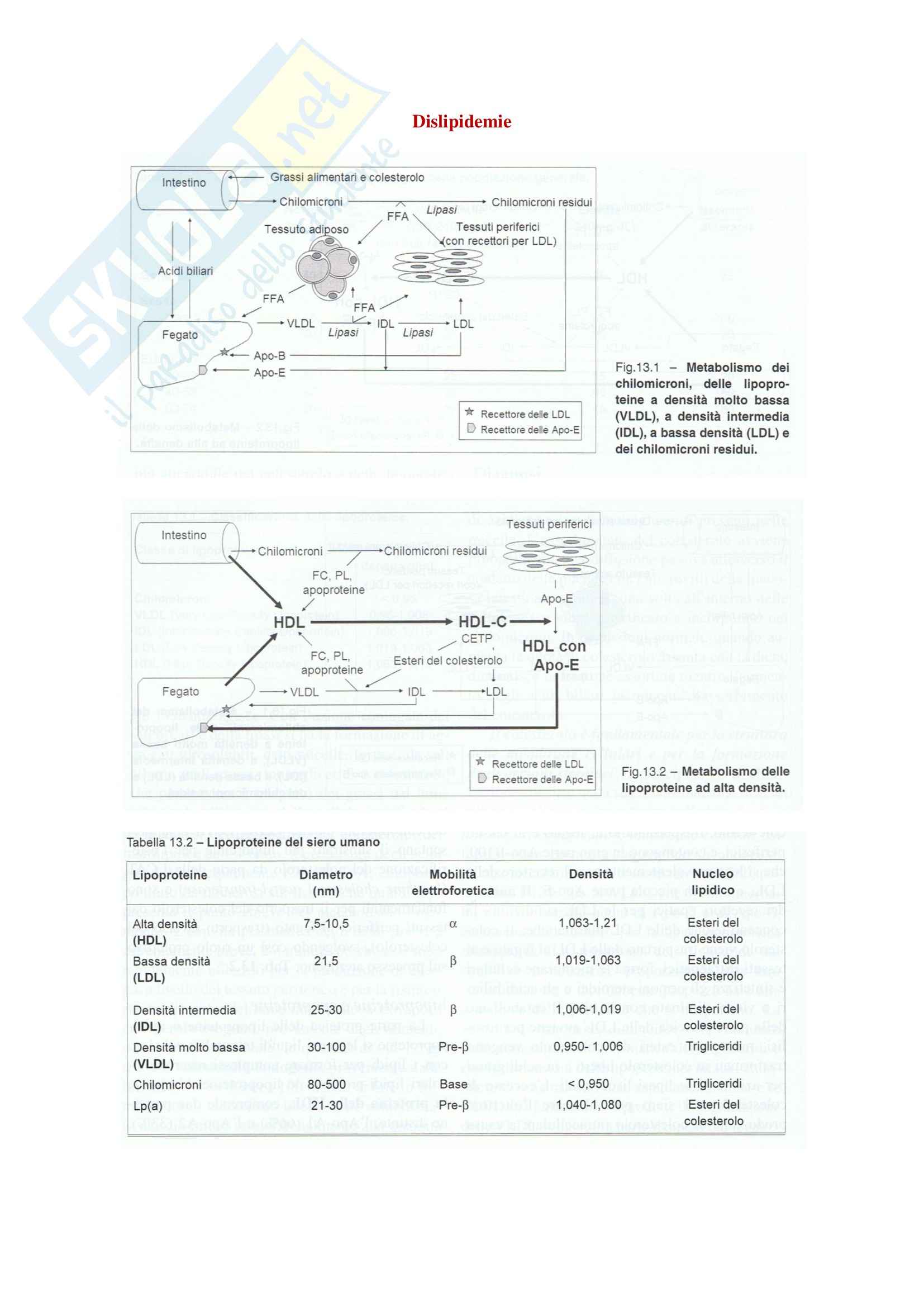Endocrinologia - obesità Pag. 6