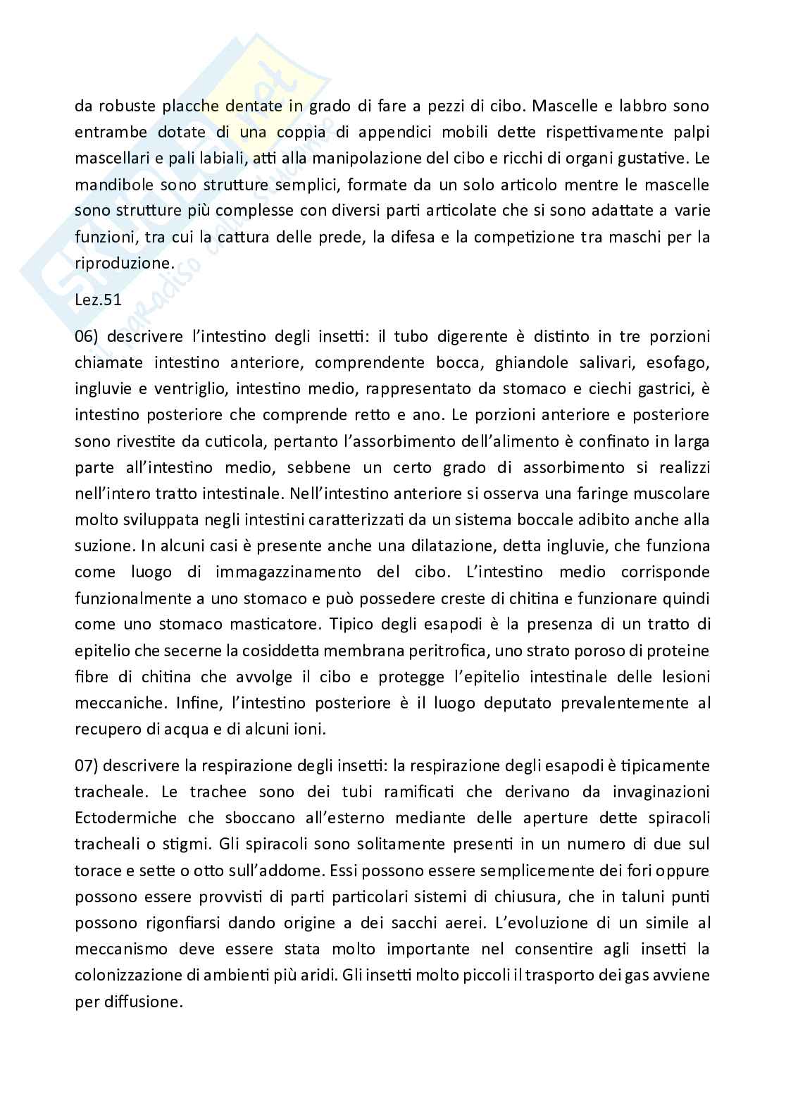 Paniere Zoologia  - Risposte aperte - aggiornato (2026) Pag. 66