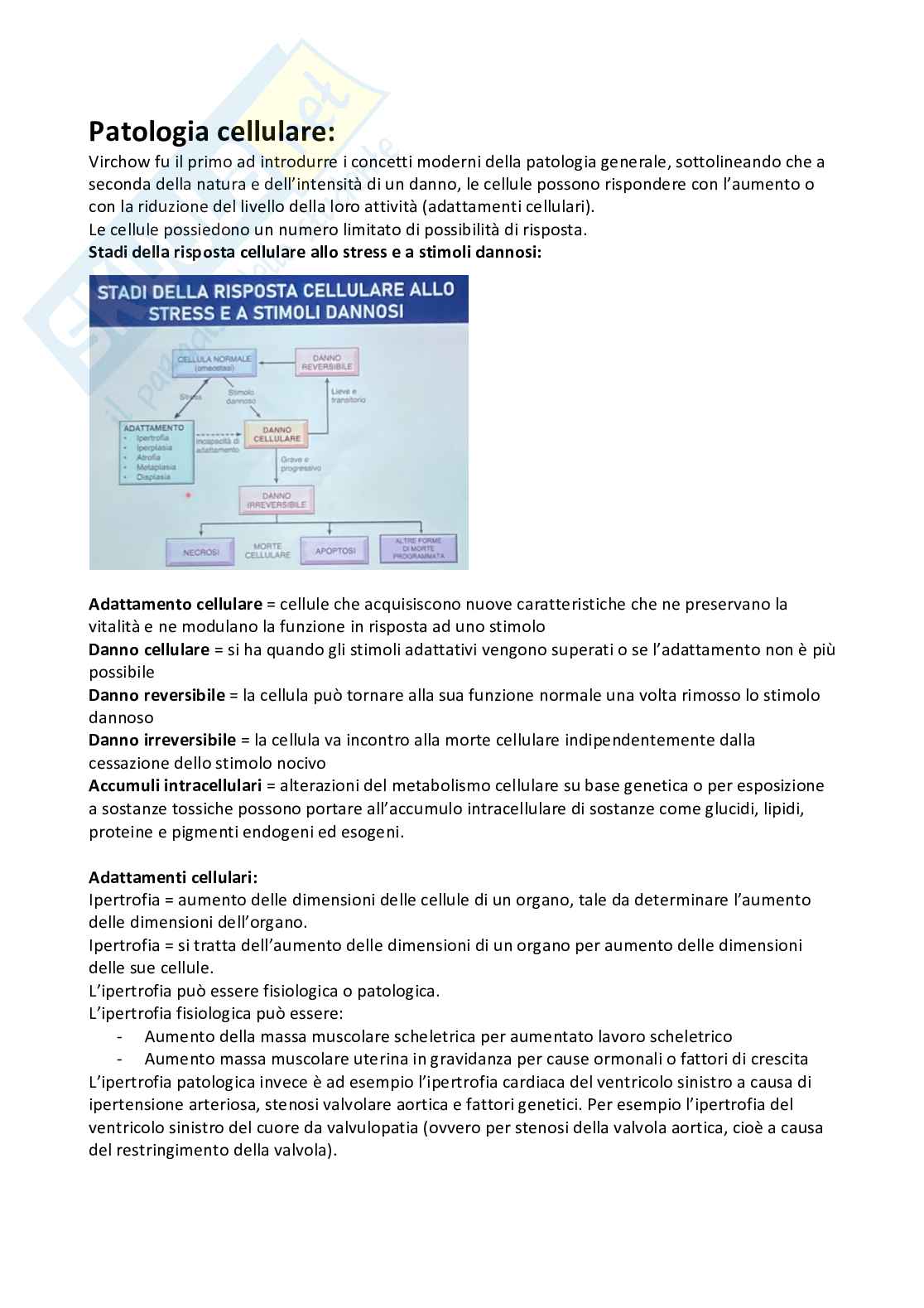 Patologia generale Pag. 2
