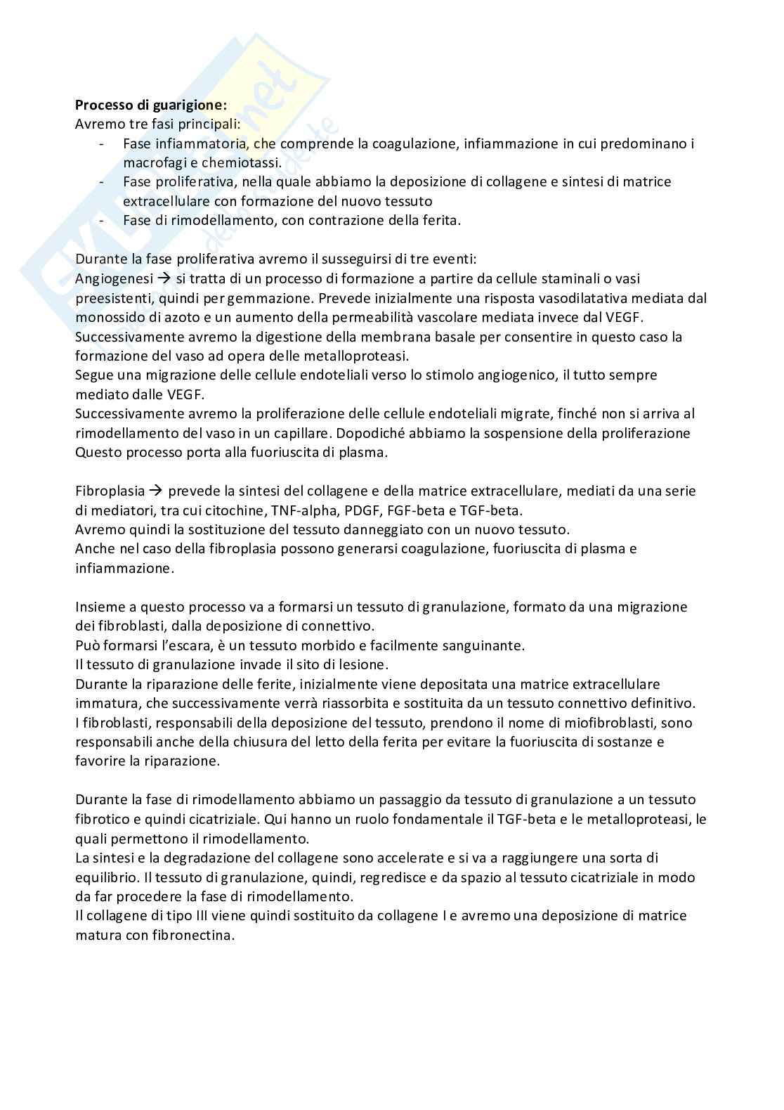 Patologia generale Pag. 36
