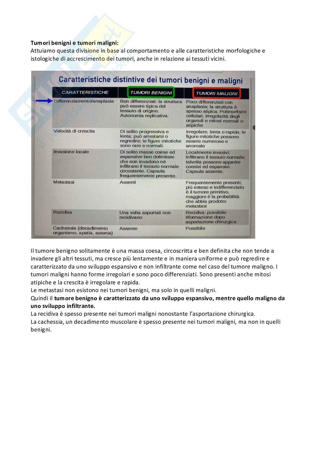 Patologia generale Pag. 41