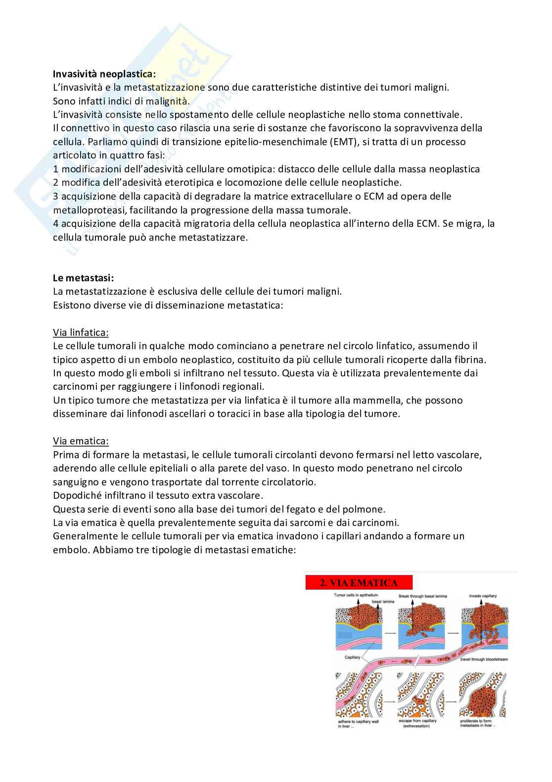 Patologia generale Pag. 51