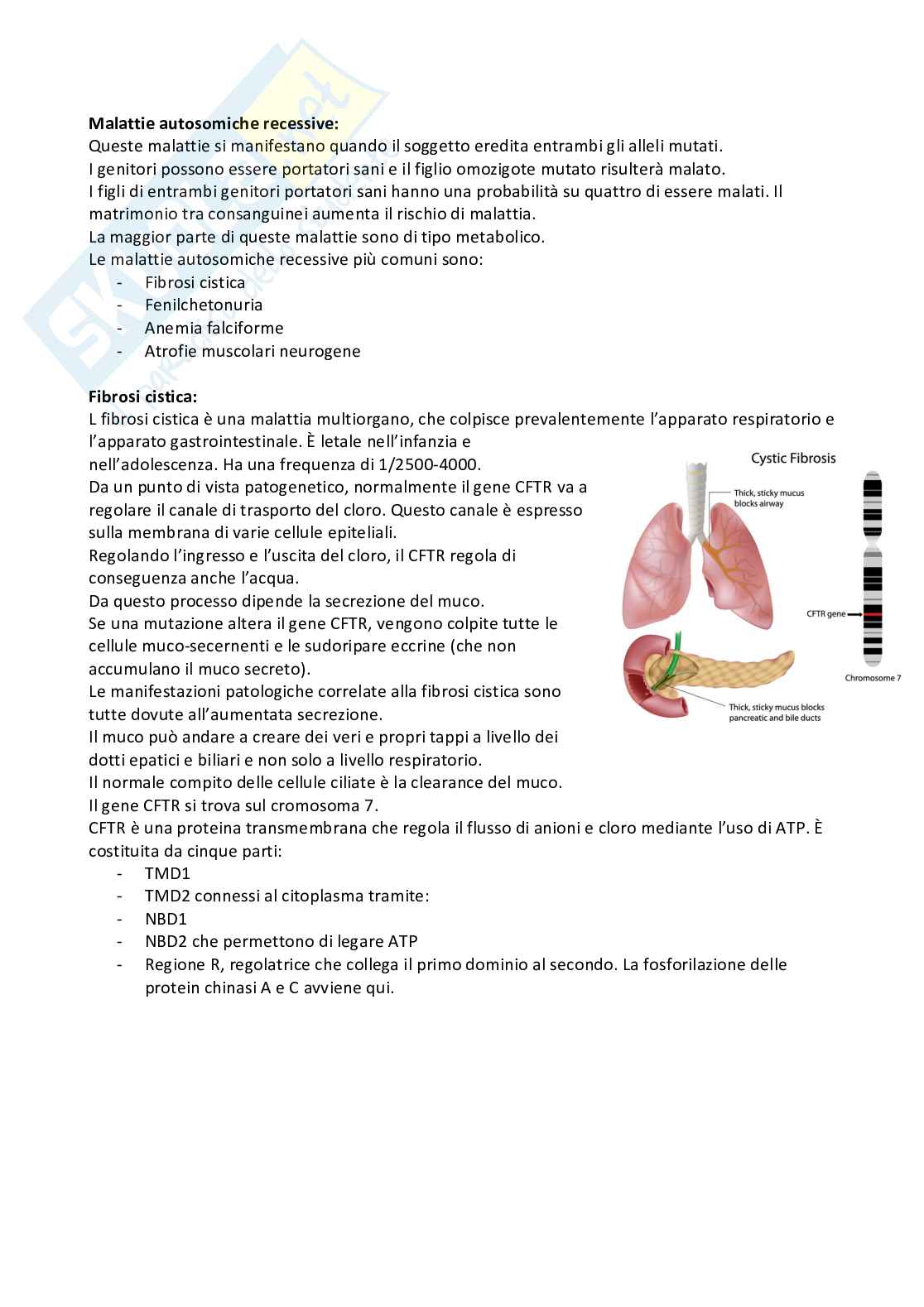 Patologia generale Pag. 61