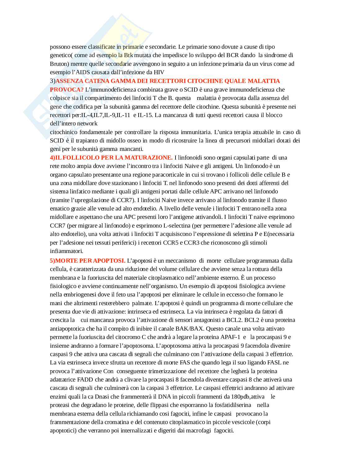 Domande Patologia, orale Pag. 2