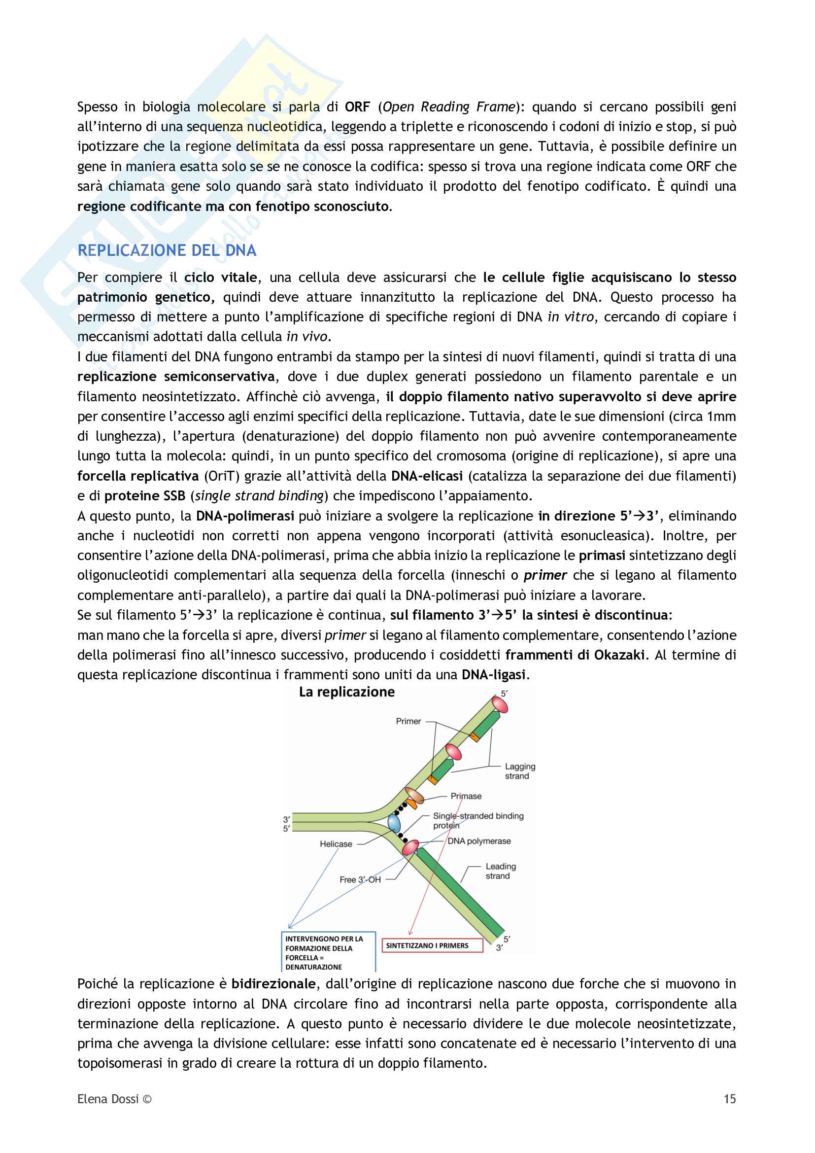 Biotecnologie genetico molecolari Pag. 16