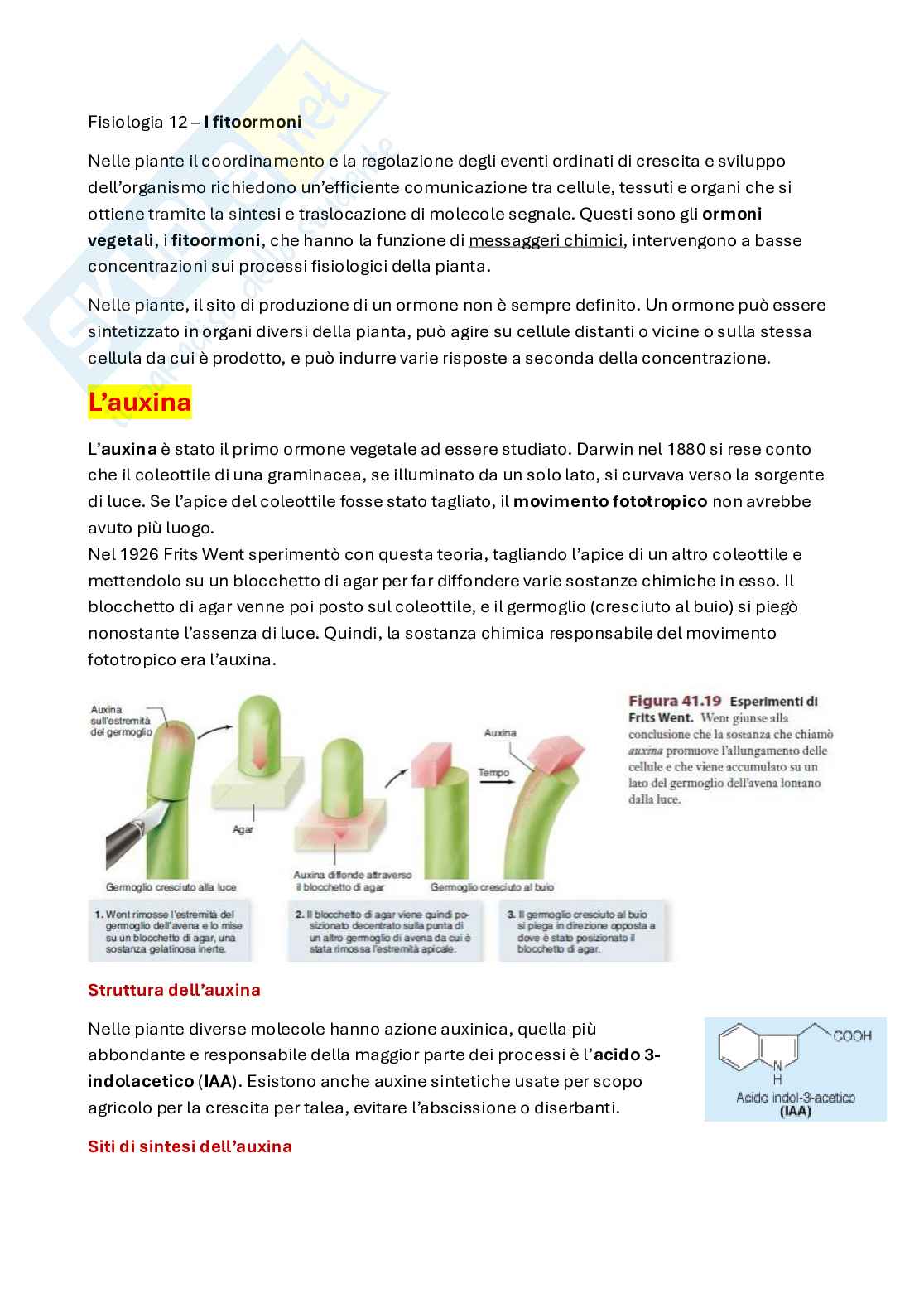 Fitoormoni delle piante Pag. 1