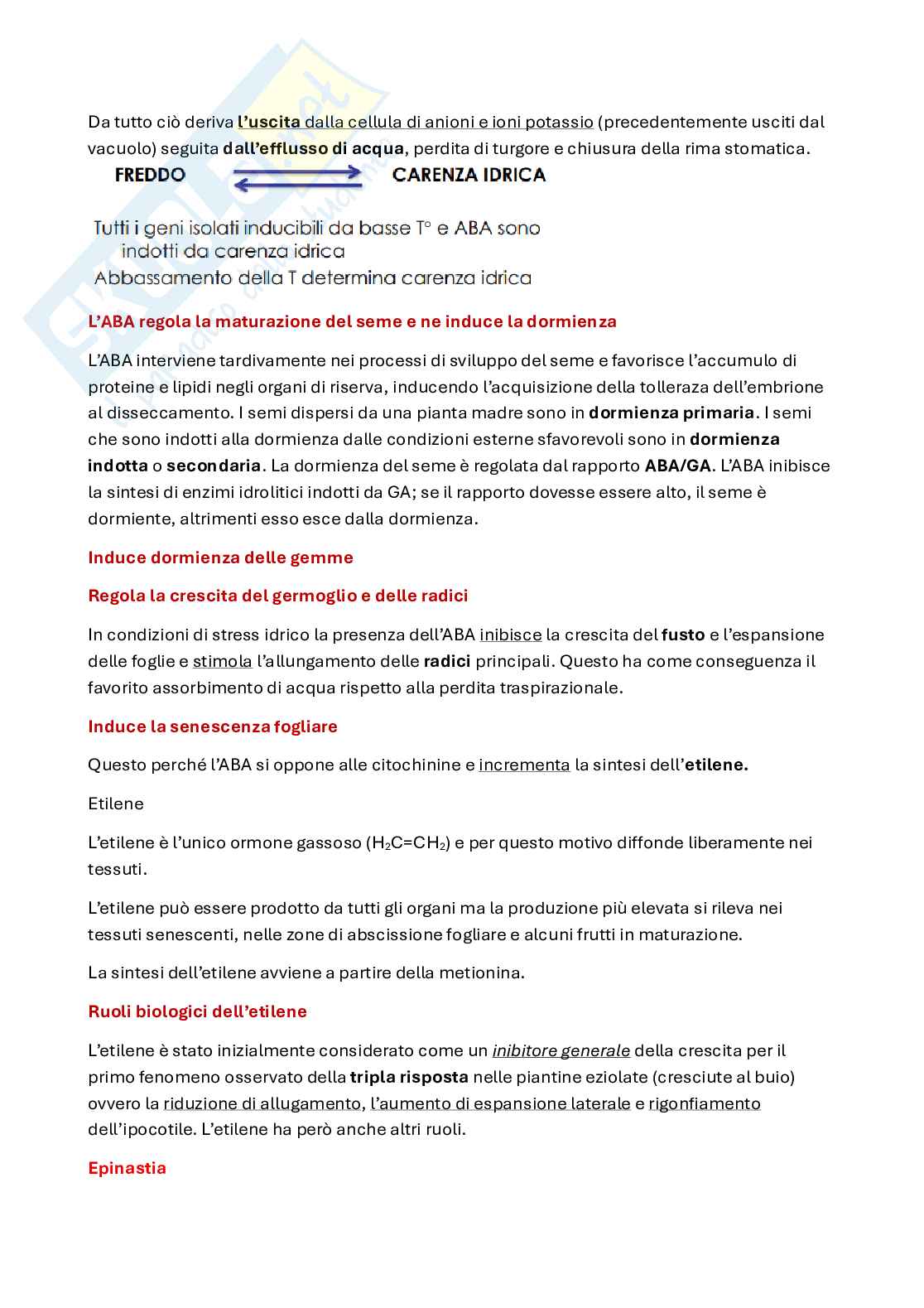 Fitoormoni delle piante Pag. 11