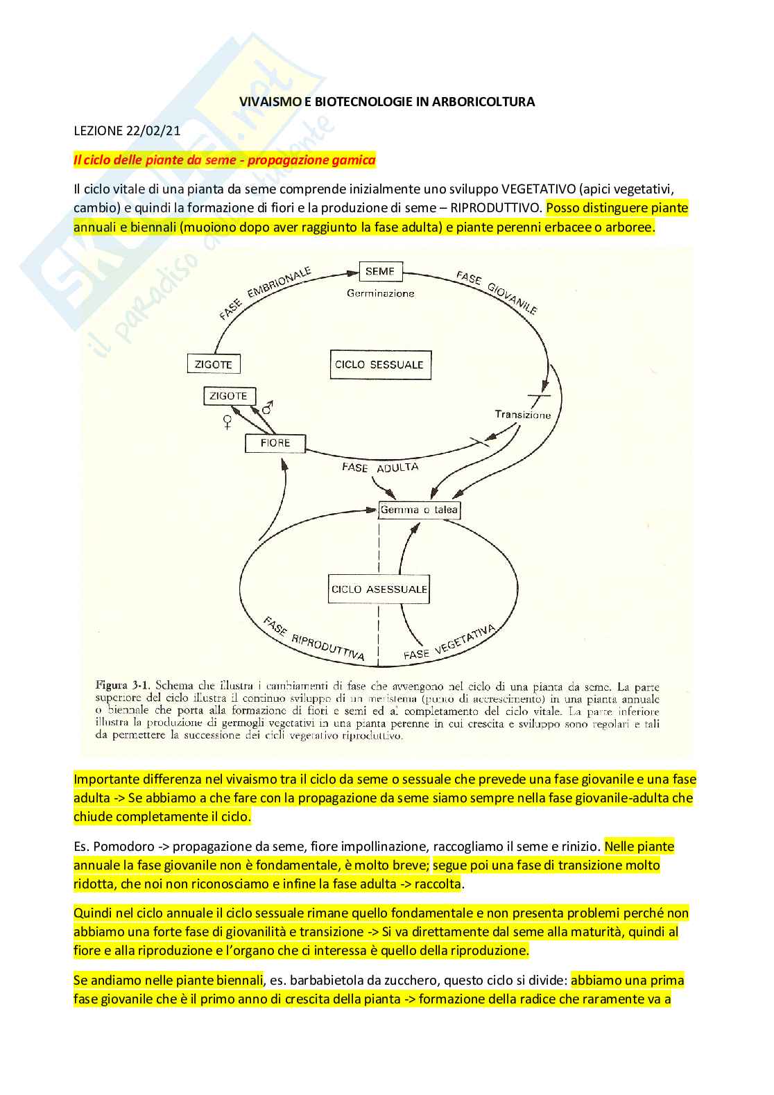 Vivaismo e biotecnologie in arboricoltura Pag. 1