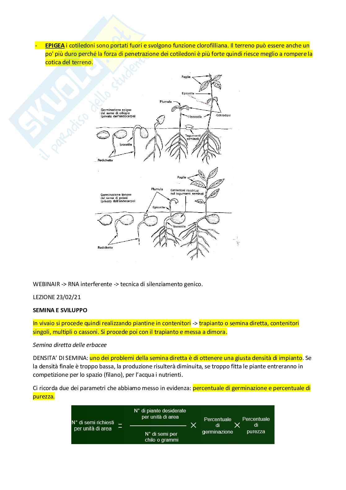 Vivaismo e biotecnologie in arboricoltura Pag. 16