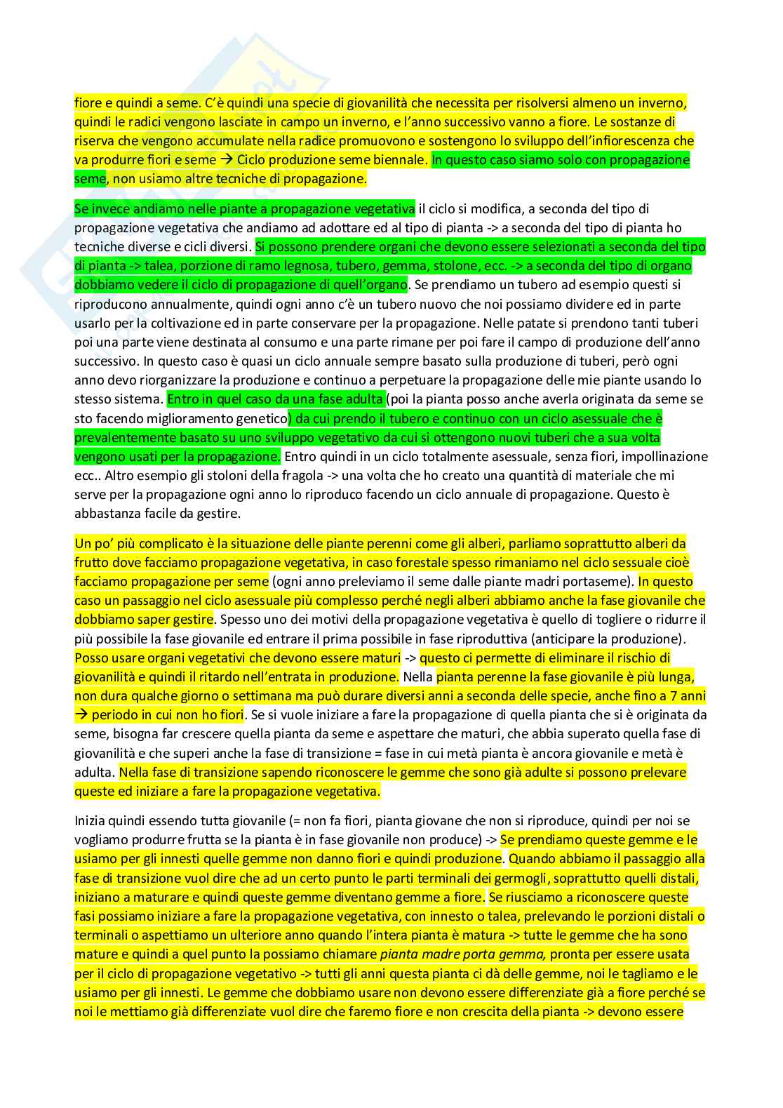Vivaismo e biotecnologie in arboricoltura Pag. 2