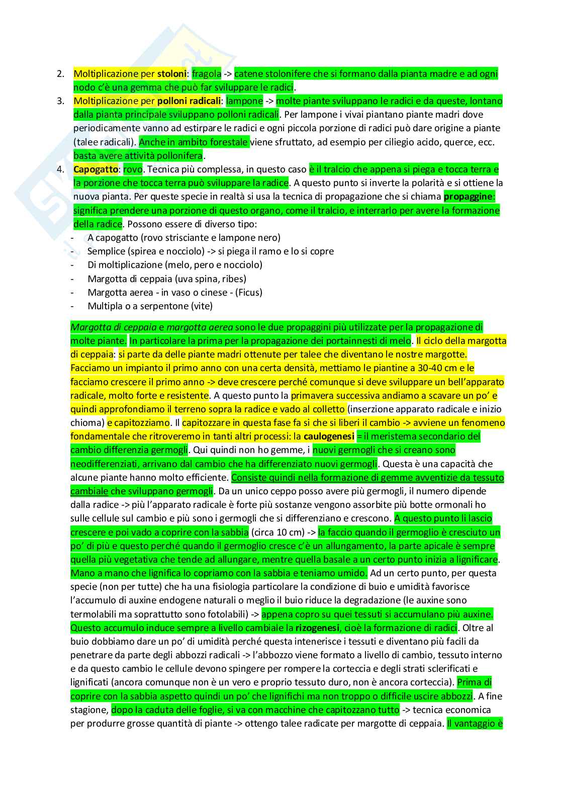 Vivaismo e biotecnologie in arboricoltura Pag. 21