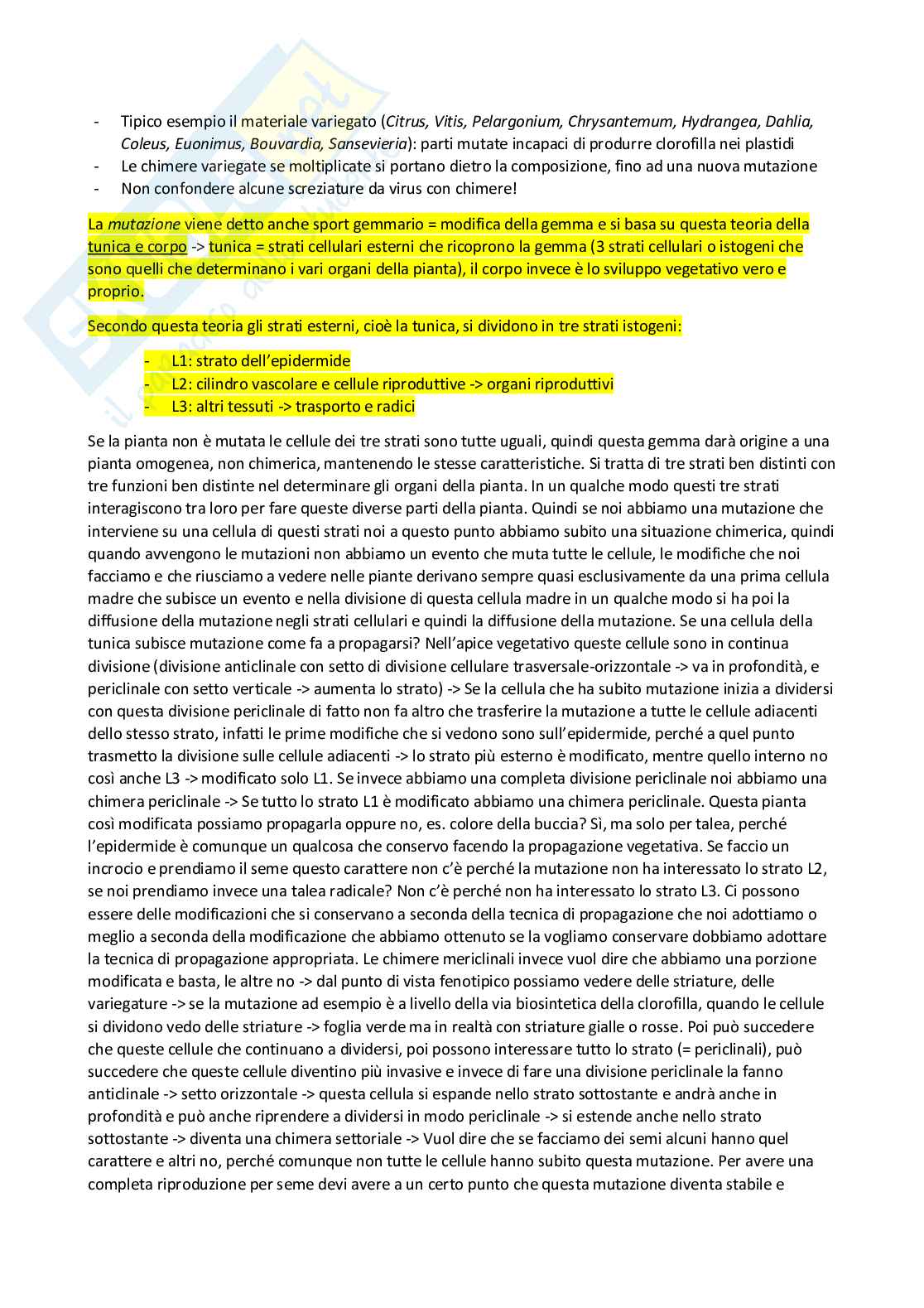 Vivaismo e biotecnologie in arboricoltura Pag. 31