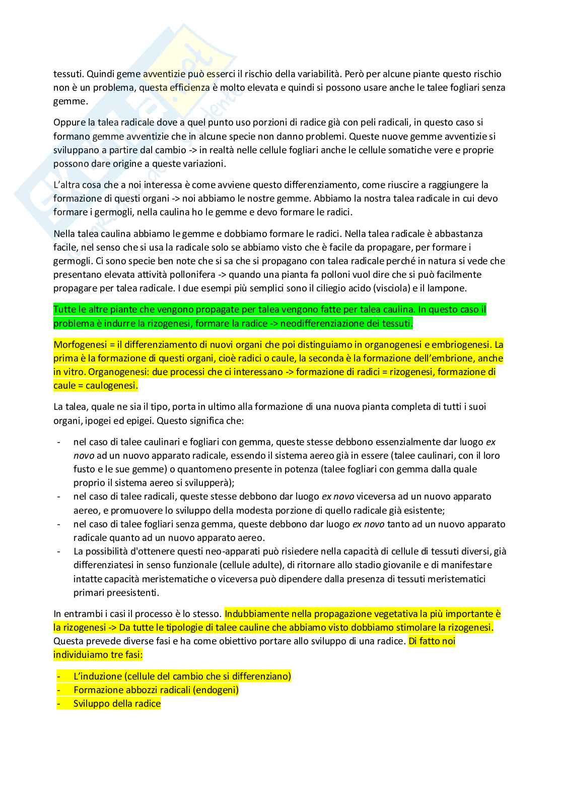 Vivaismo e biotecnologie in arboricoltura Pag. 36