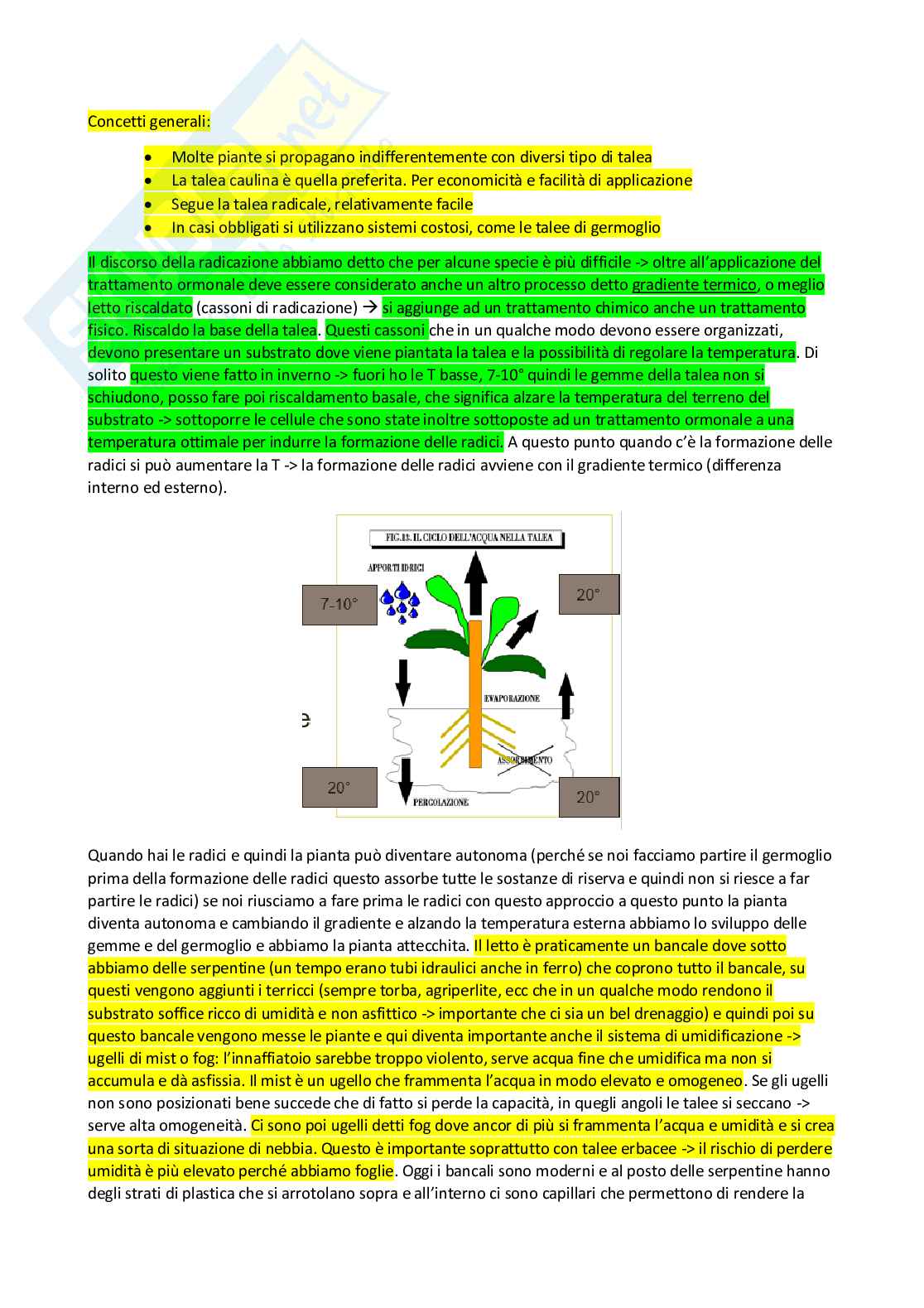 Vivaismo e biotecnologie in arboricoltura Pag. 41