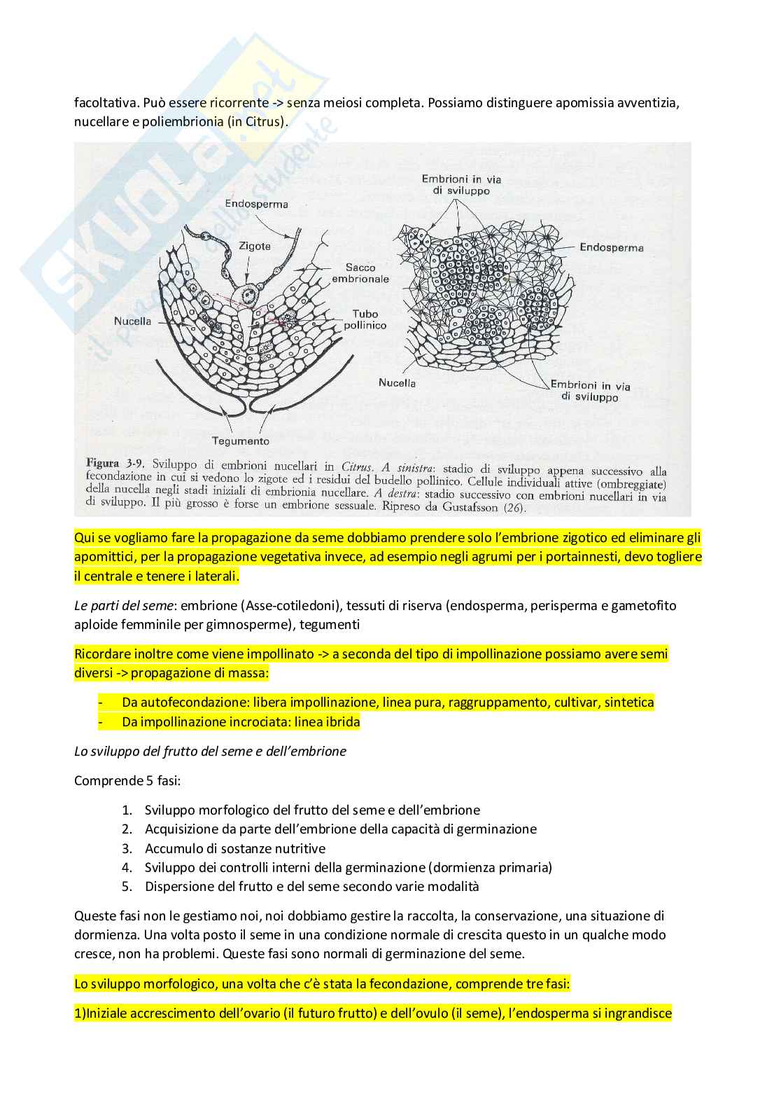 Vivaismo e biotecnologie in arboricoltura Pag. 6