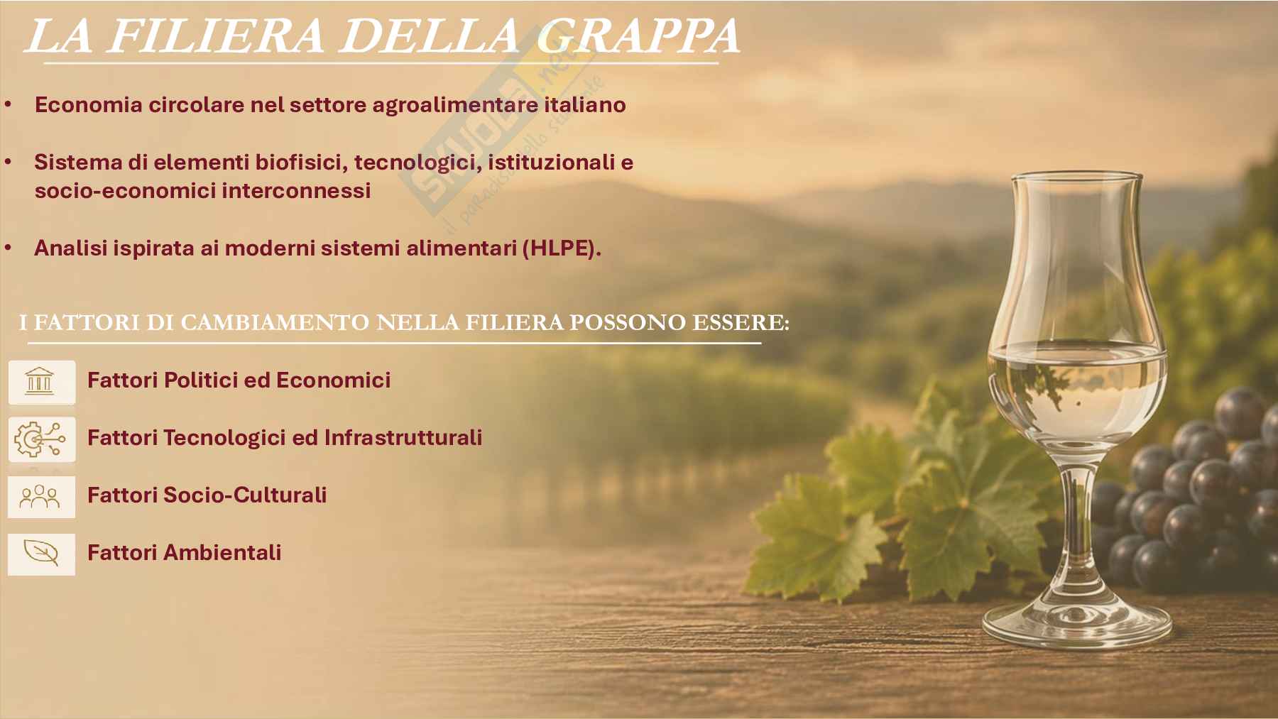 Filiera della grappa: un modello di economia circolare Pag. 2