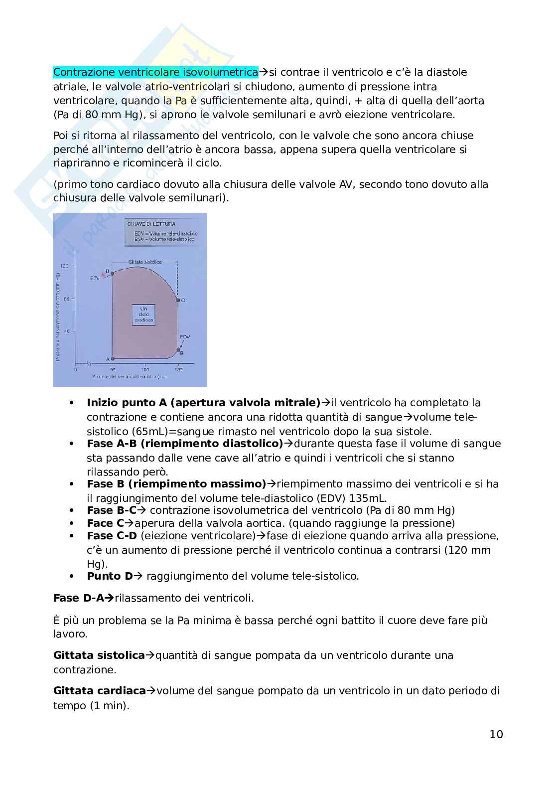 Fisiologia dell'esercizio fisico Pag. 11