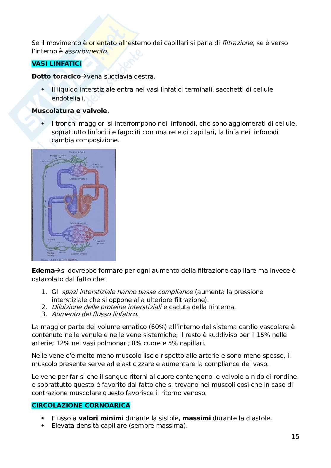 Fisiologia dell'esercizio fisico Pag. 16