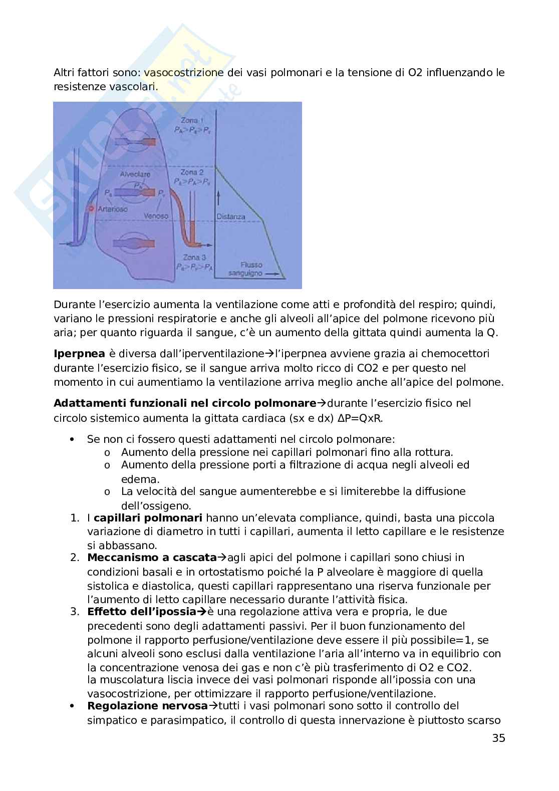 Fisiologia dell'esercizio fisico Pag. 36