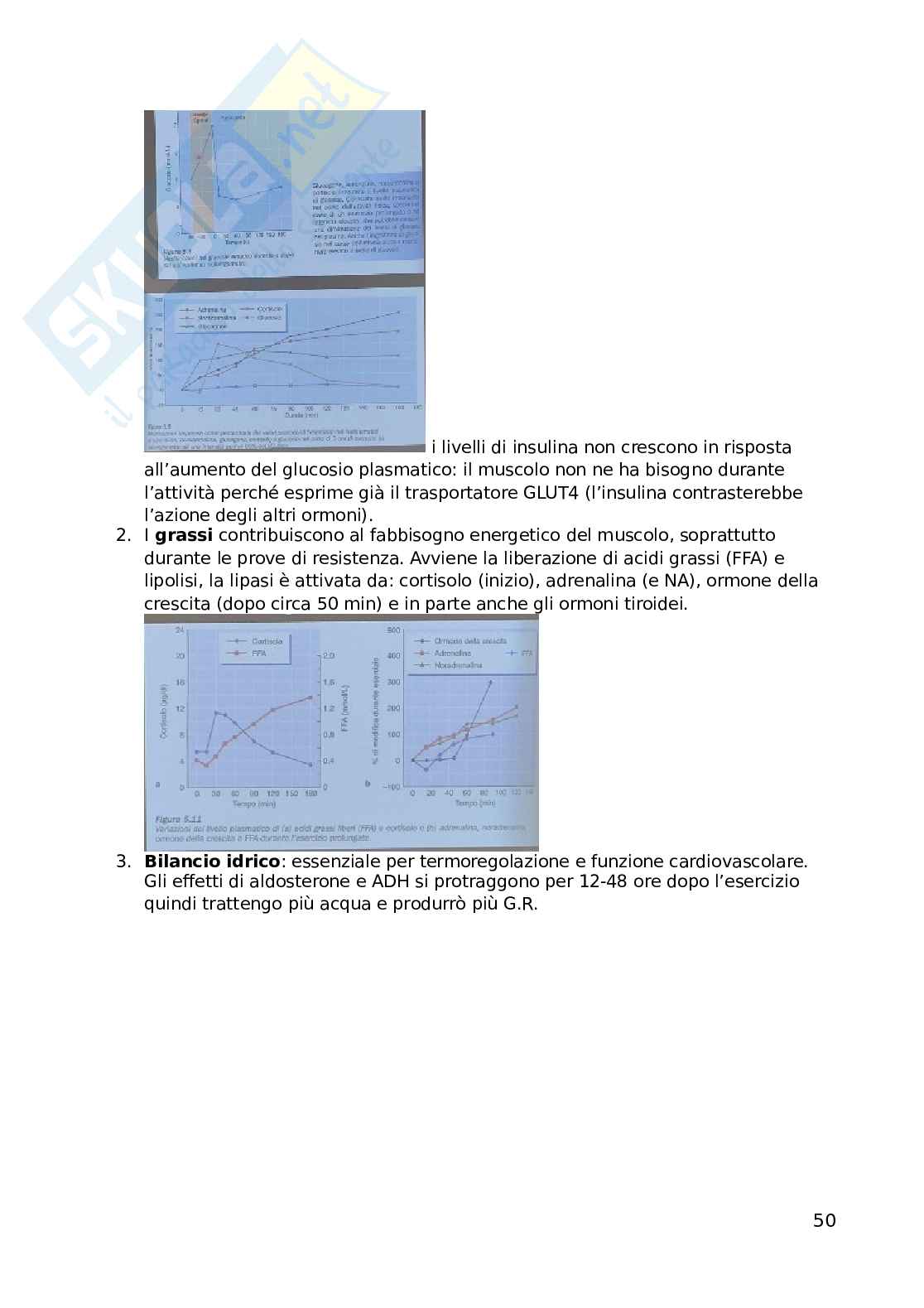 Fisiologia dell'esercizio fisico Pag. 51