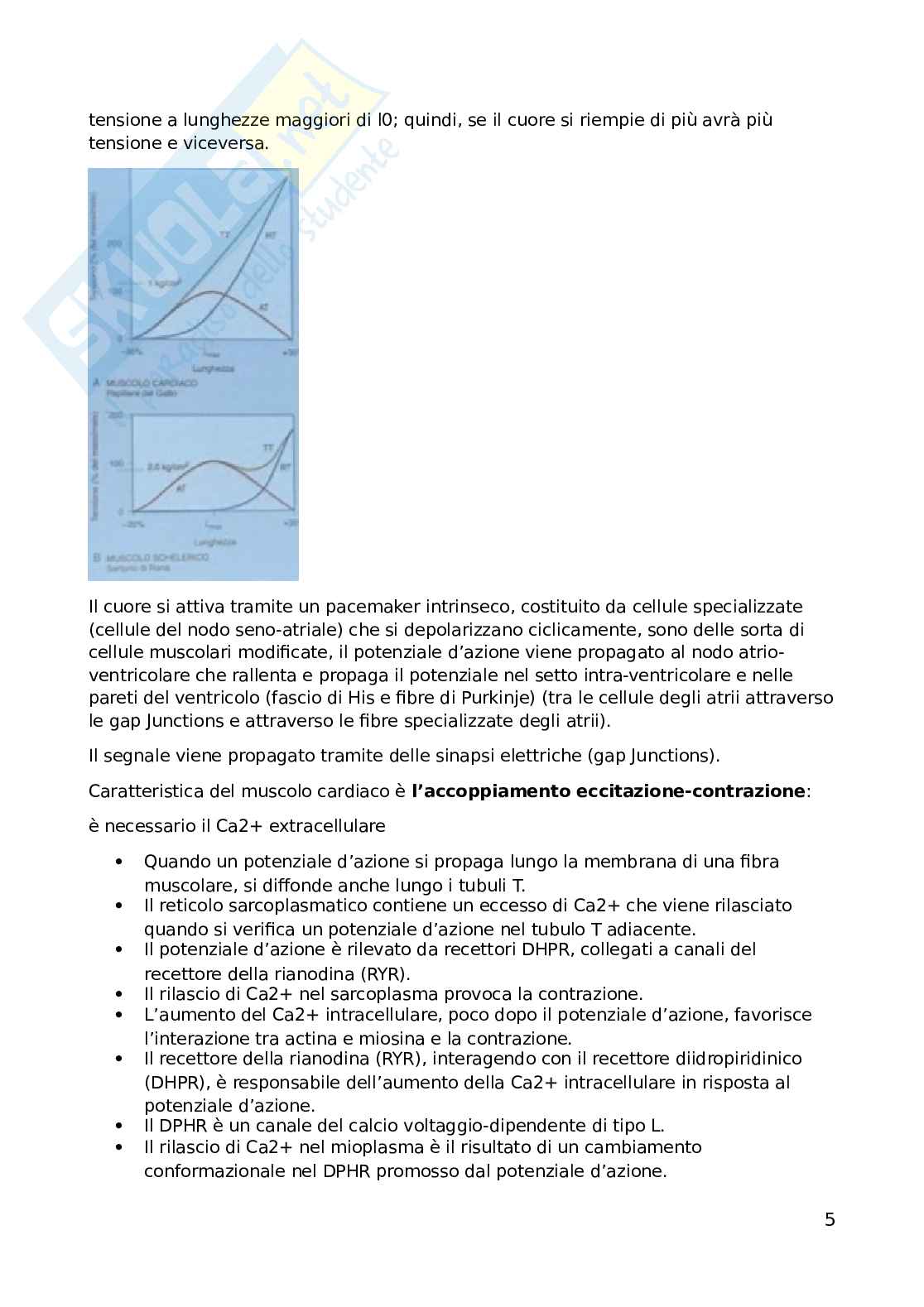 Fisiologia dell'esercizio fisico Pag. 6