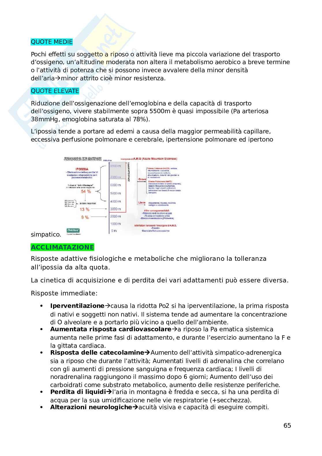 Fisiologia dell'esercizio fisico Pag. 66