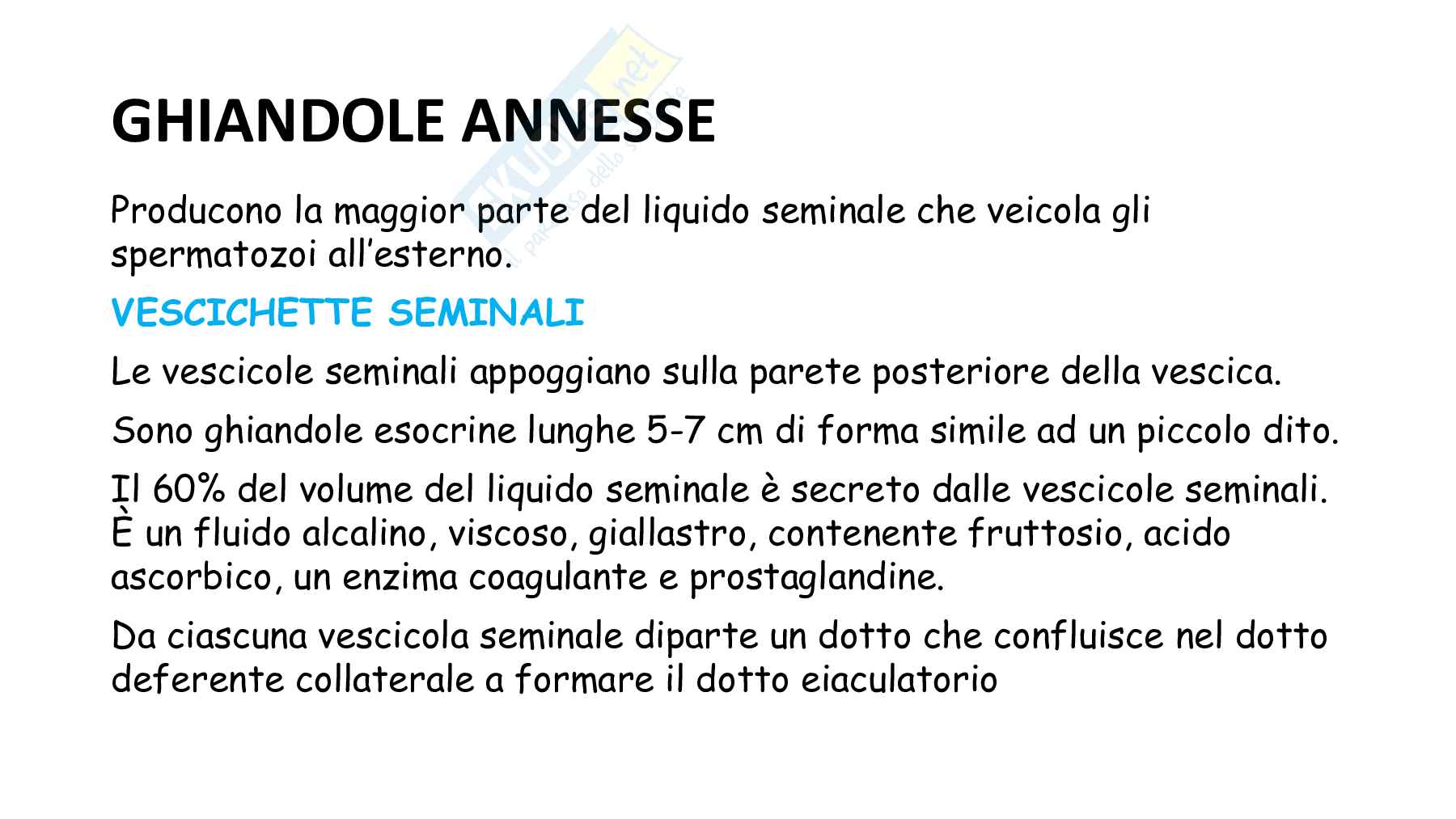 Anatomia umana con elementi di biologia animale - seconda parte Pag. 11