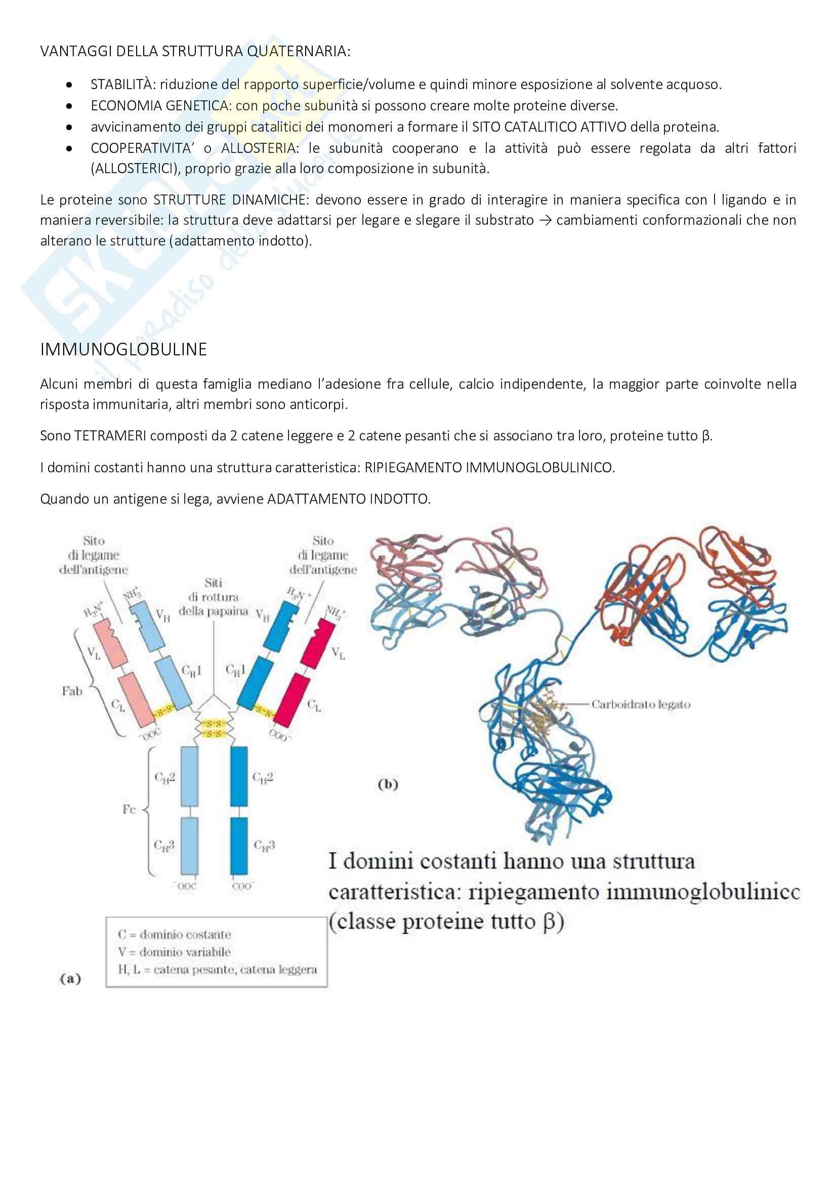 Appunti biochimica 1 (172 pg) Pag. 31