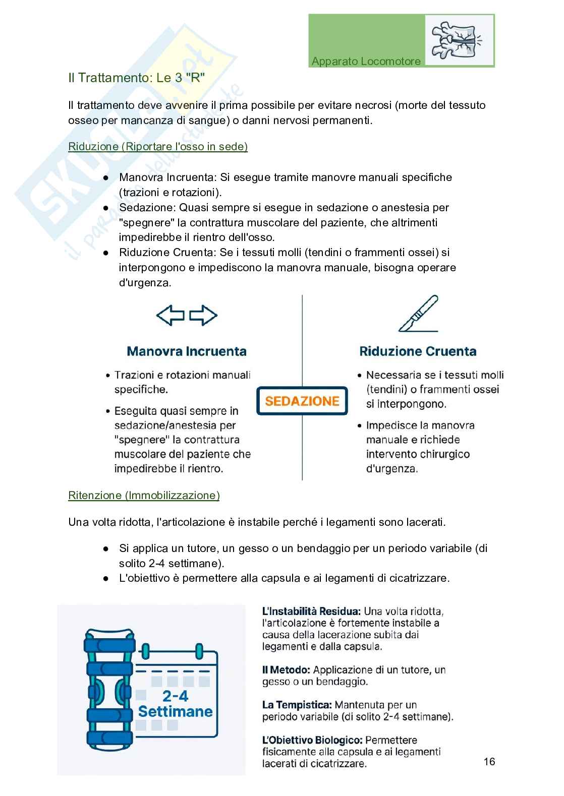 Apparato locomotore, traumatologia e ortopedia per Professioni sanitarie Pag. 16